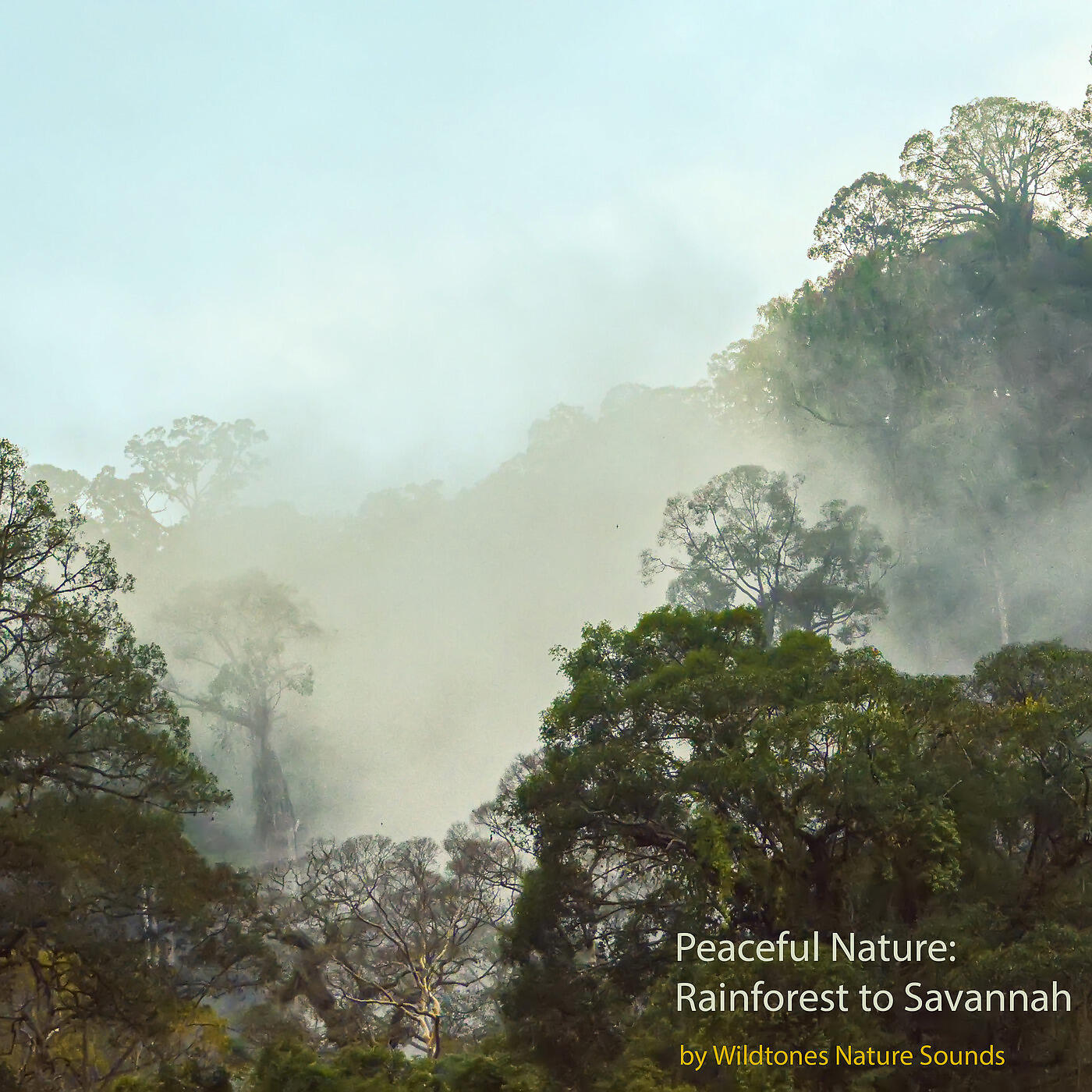 Wildtones Nature Sounds - Sounds of Twilight in a Colombian Rainforest