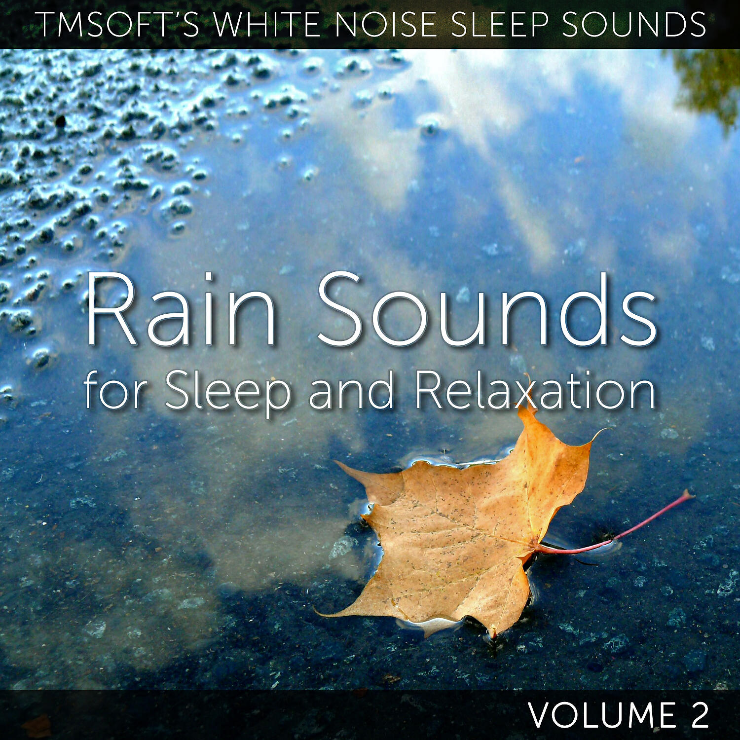 Tmsoft's White Noise Sleep Sounds - Light Dripping Winter Rain