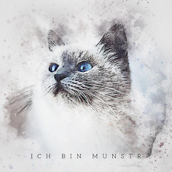 Постер альбома Ich Bin Munstr