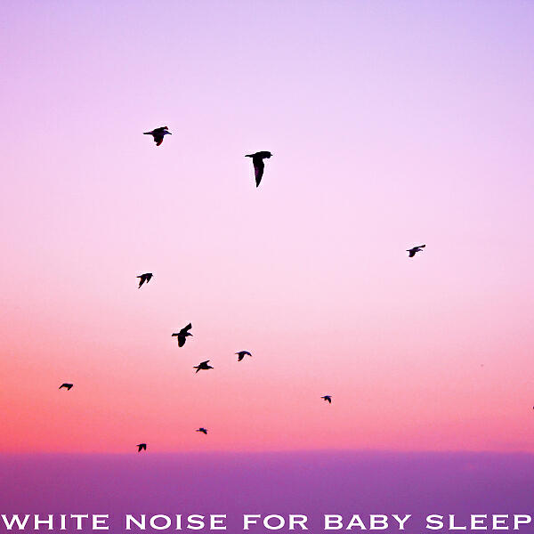White Noise For Baby Sleep - Hair Dryer, High Speed - ASMR - Loopable With No Fade