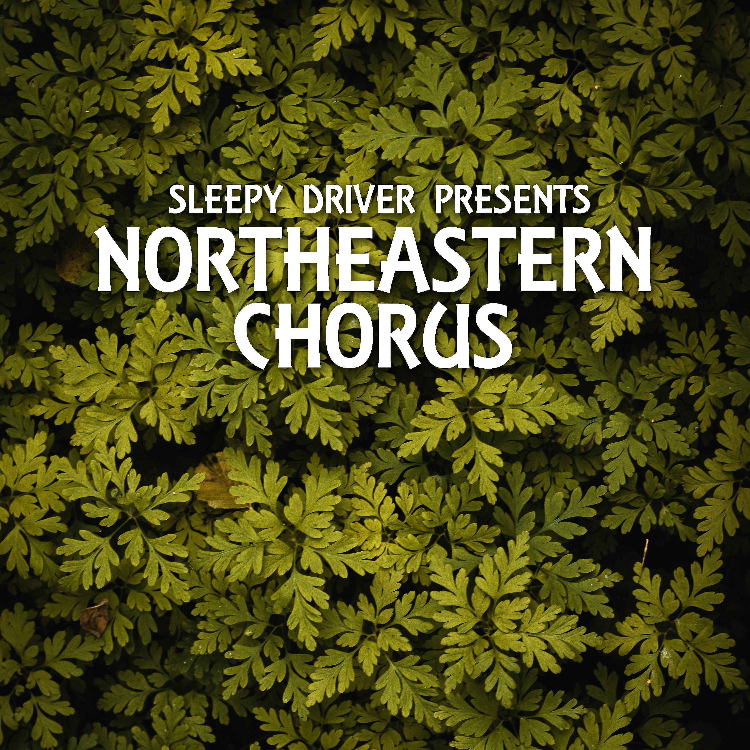 Постер альбома Sleepy Driver Presents: Northeastern Chorus