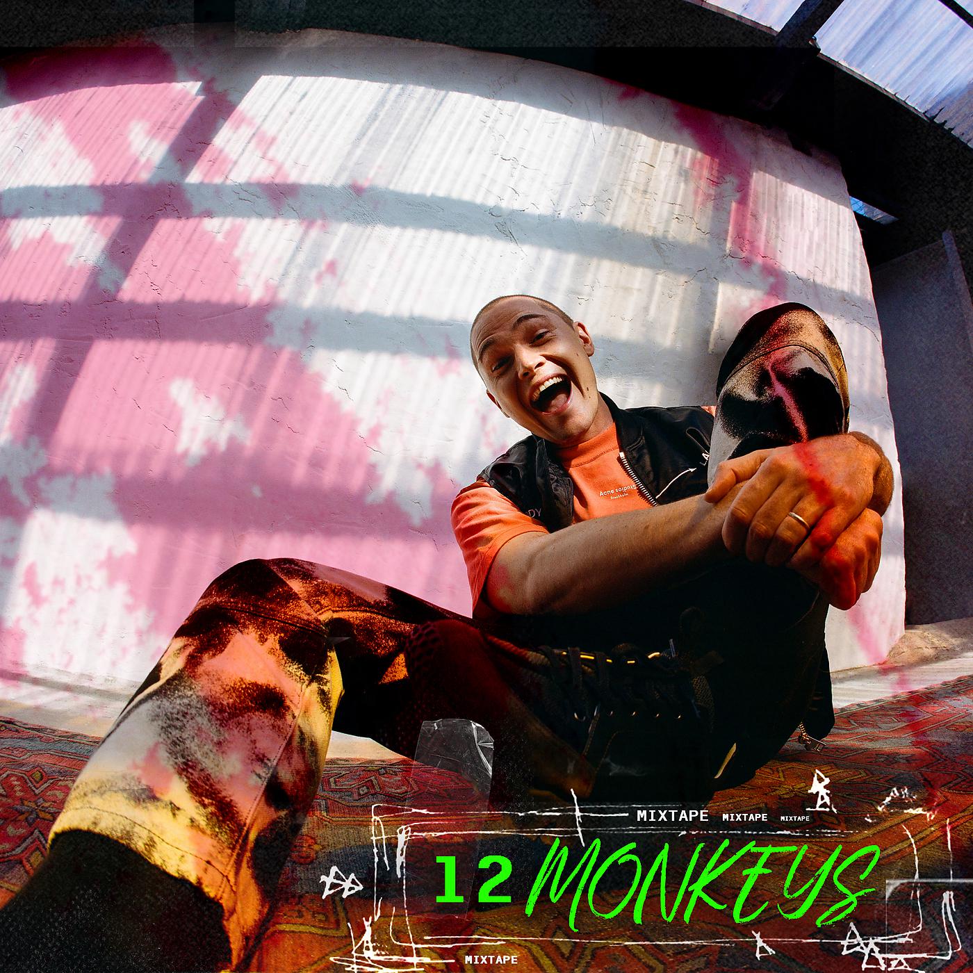Постер альбома 12 Monkeys Mixtape