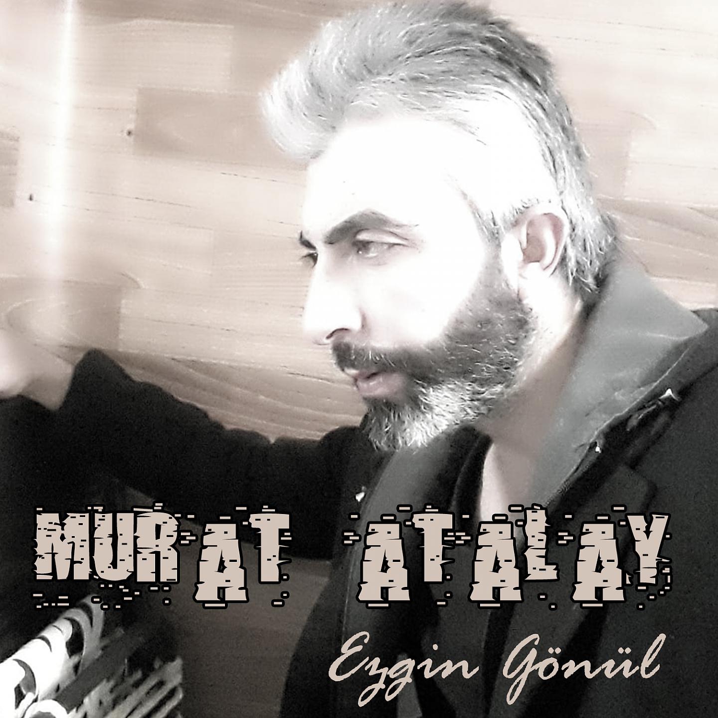 Постер альбома Ezgin Gönül
