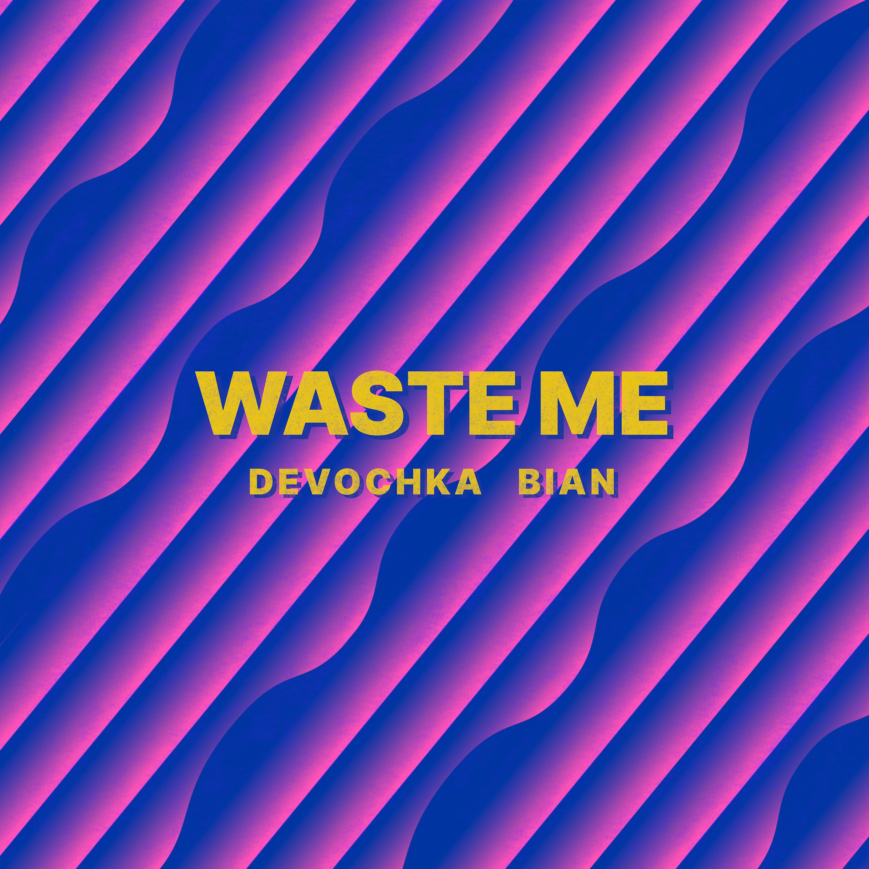 Постер альбома Waste Me
