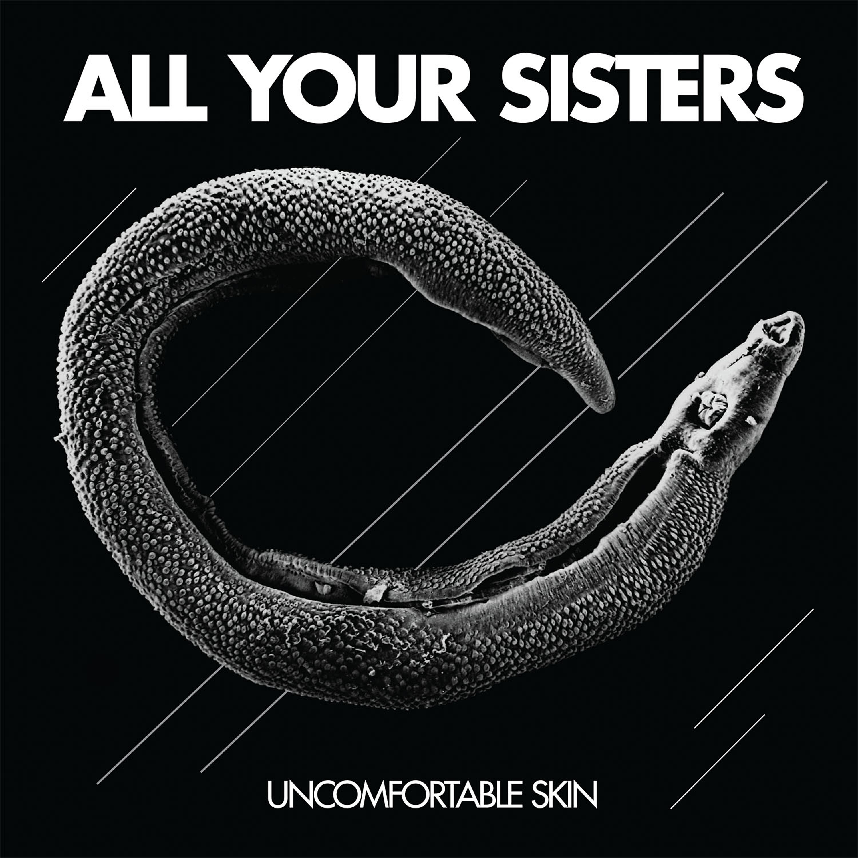 All Your Sisters - Reconcile