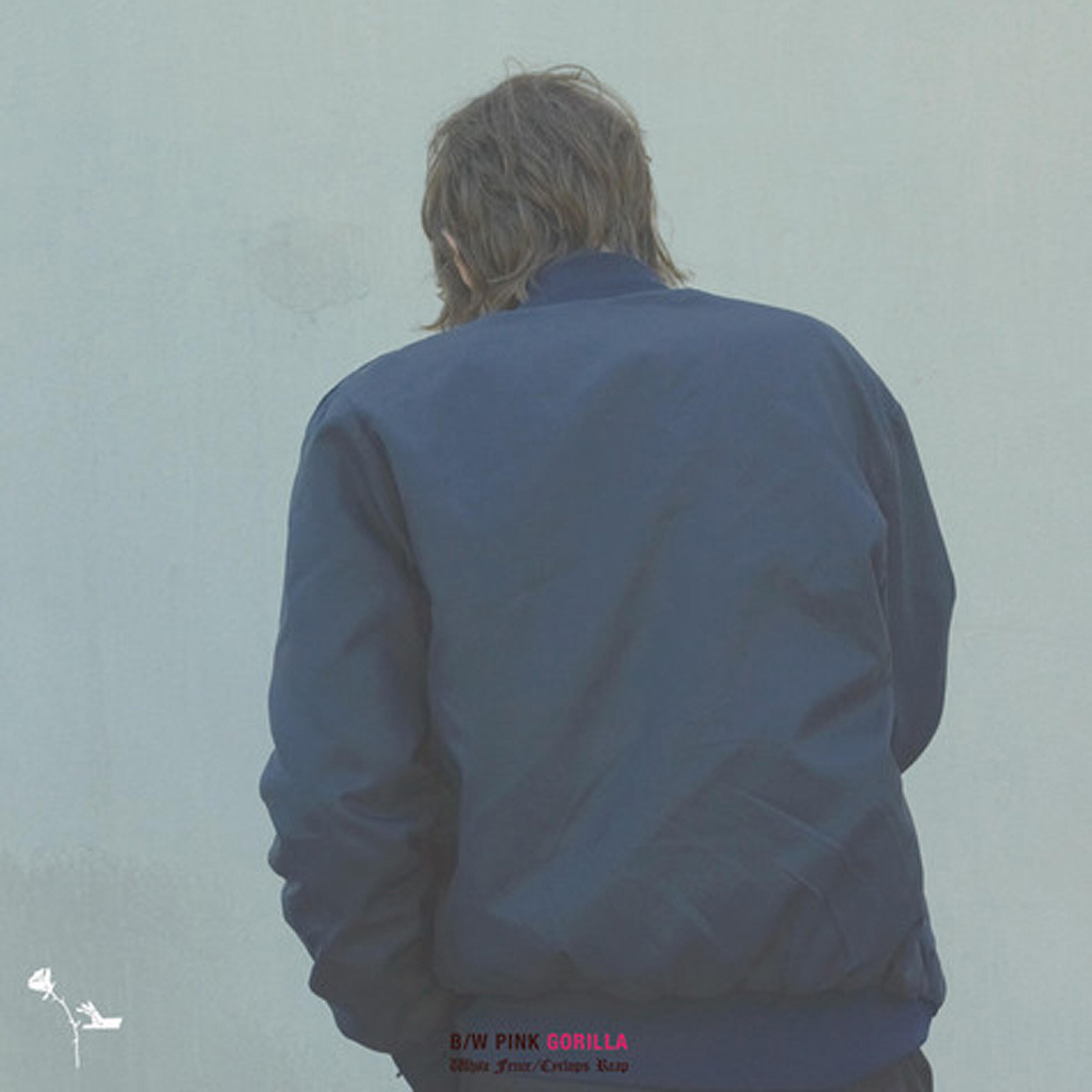White Fence - To the Boy I Jumped in the Hemlock Alley
