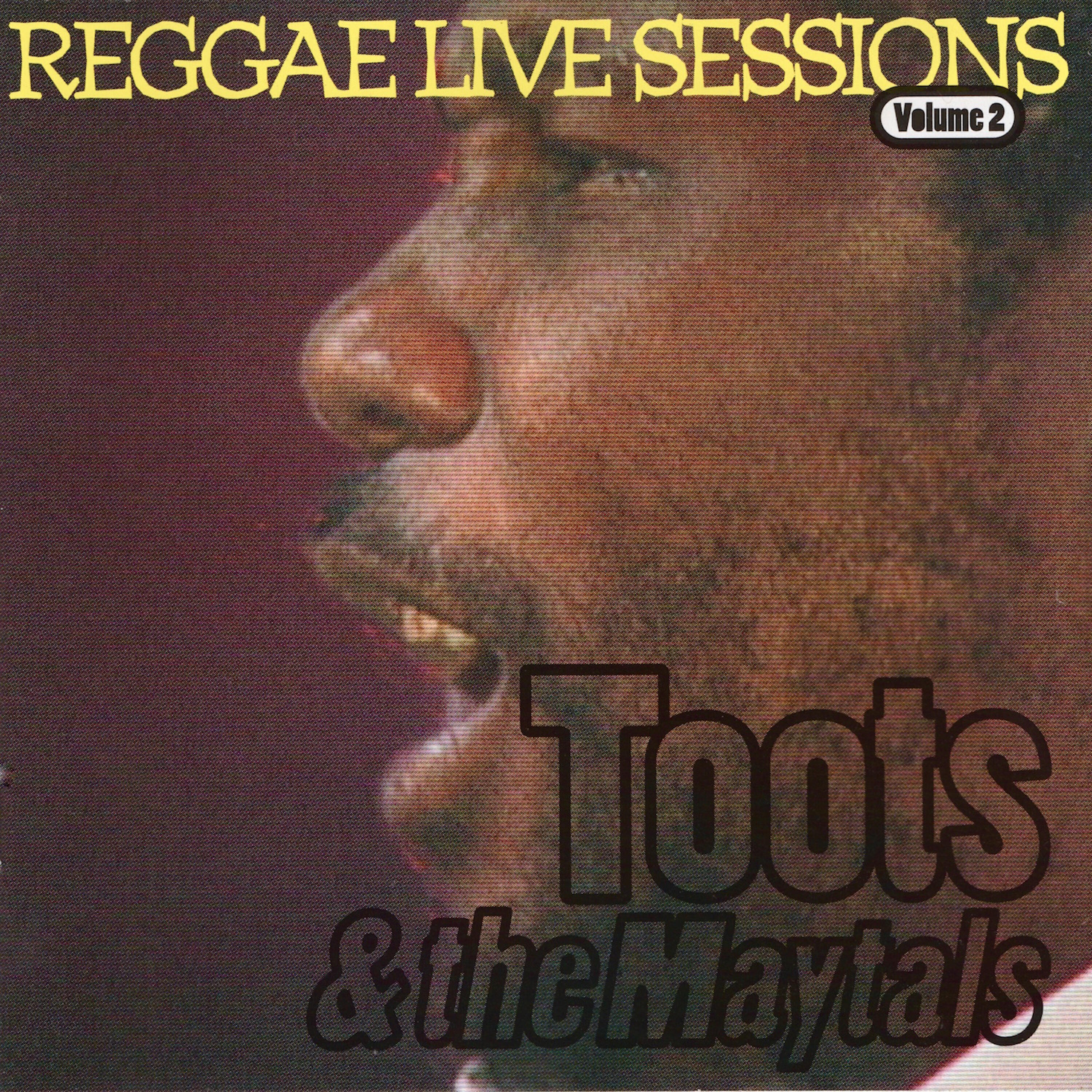 Toots - Monkey Man (Live)