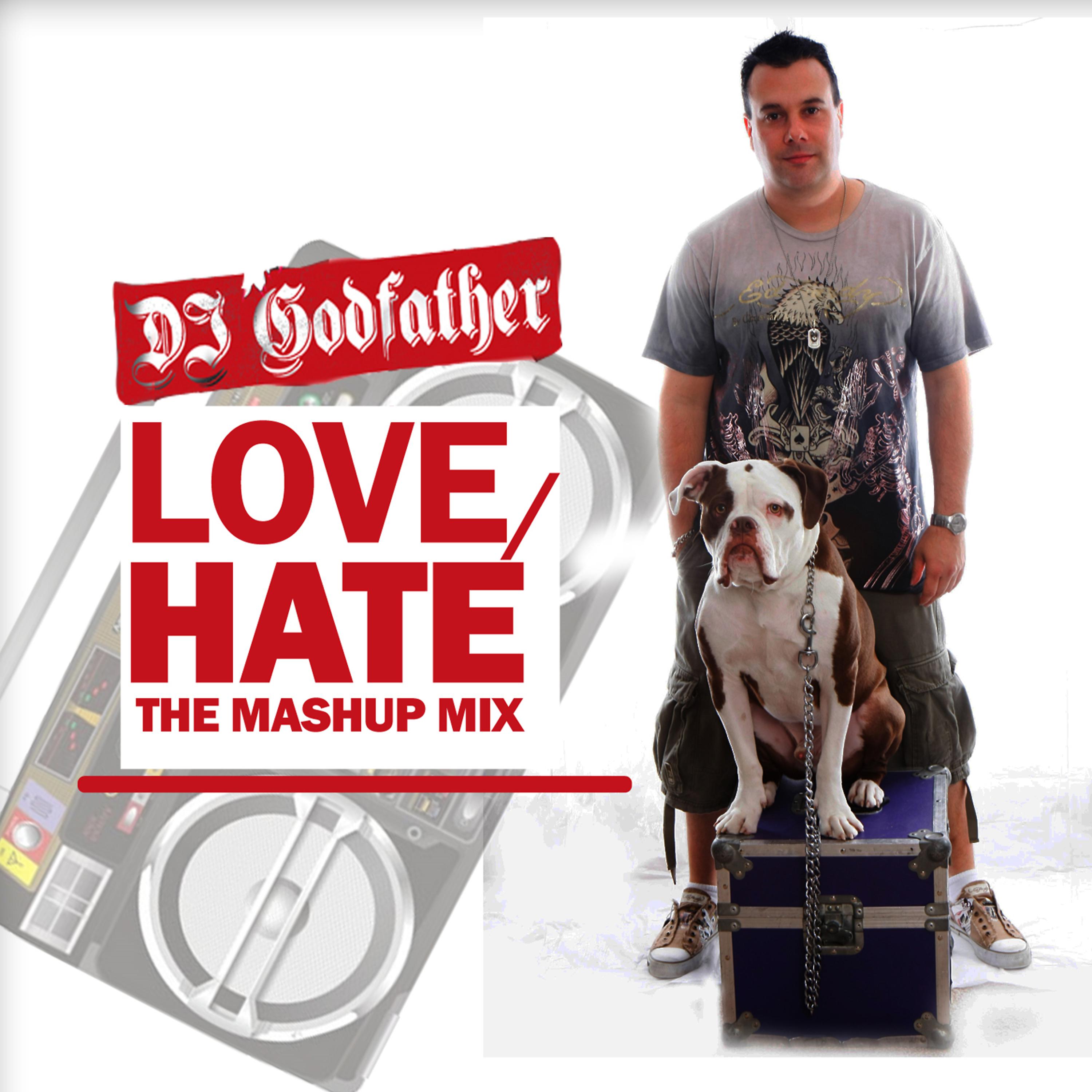 Постер альбома Love-Hate The Mashup Mix
