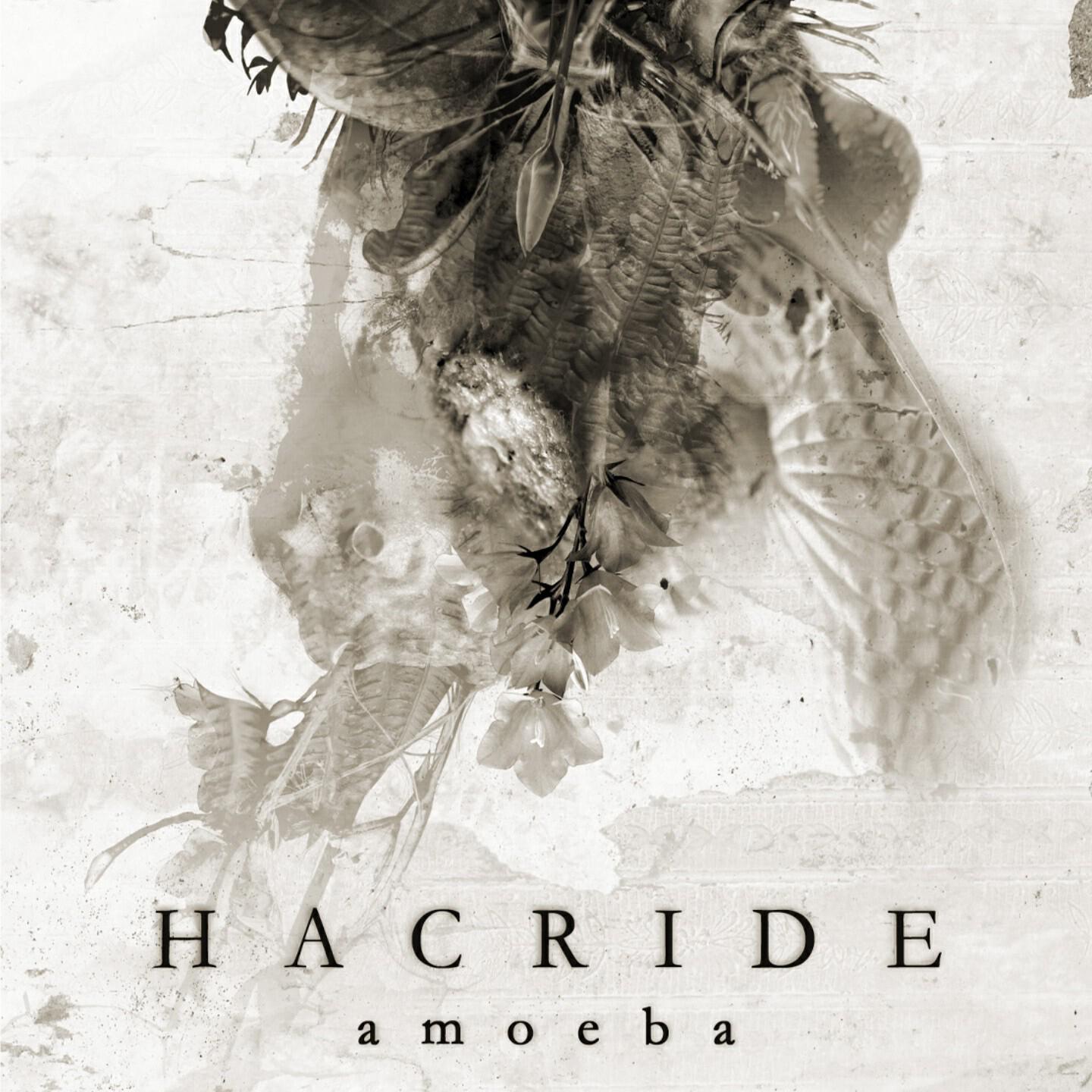 Hacride - Vision of hate