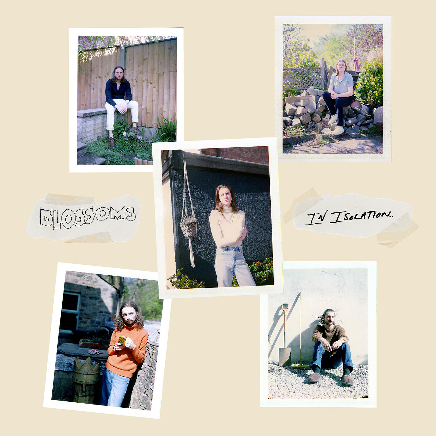 Blossoms - Charlemagne (In Isolation)