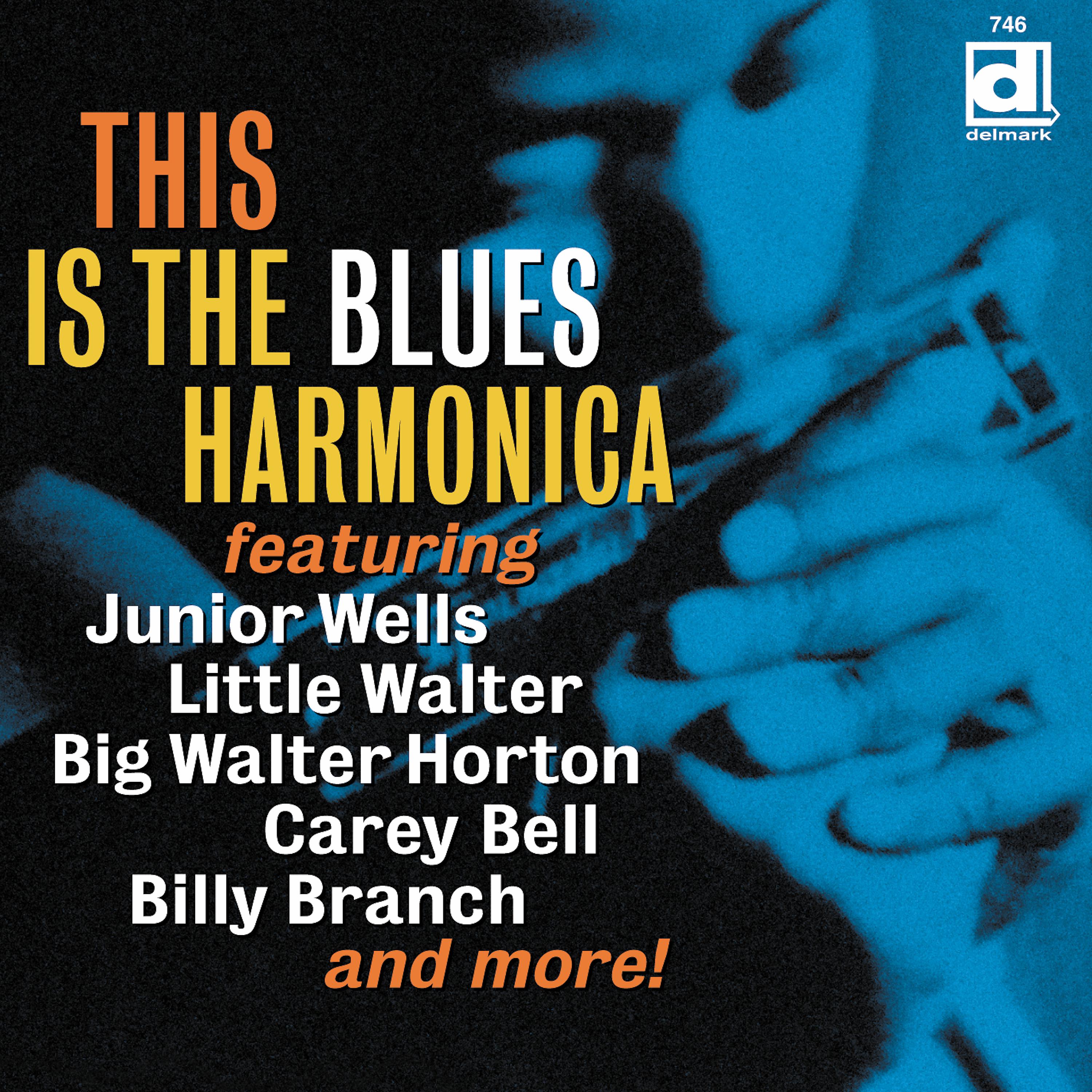 Постер альбома This is the Blues Harmonica