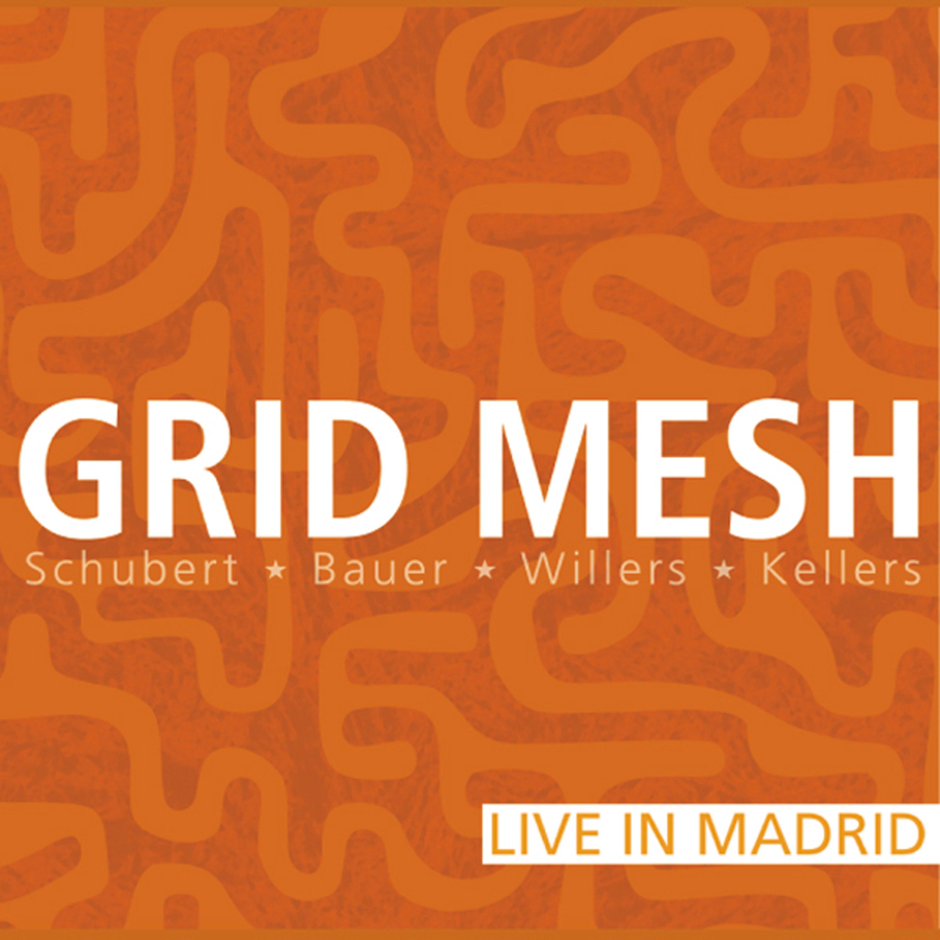 Постер альбома Grid Mesh; Live in Madrid
