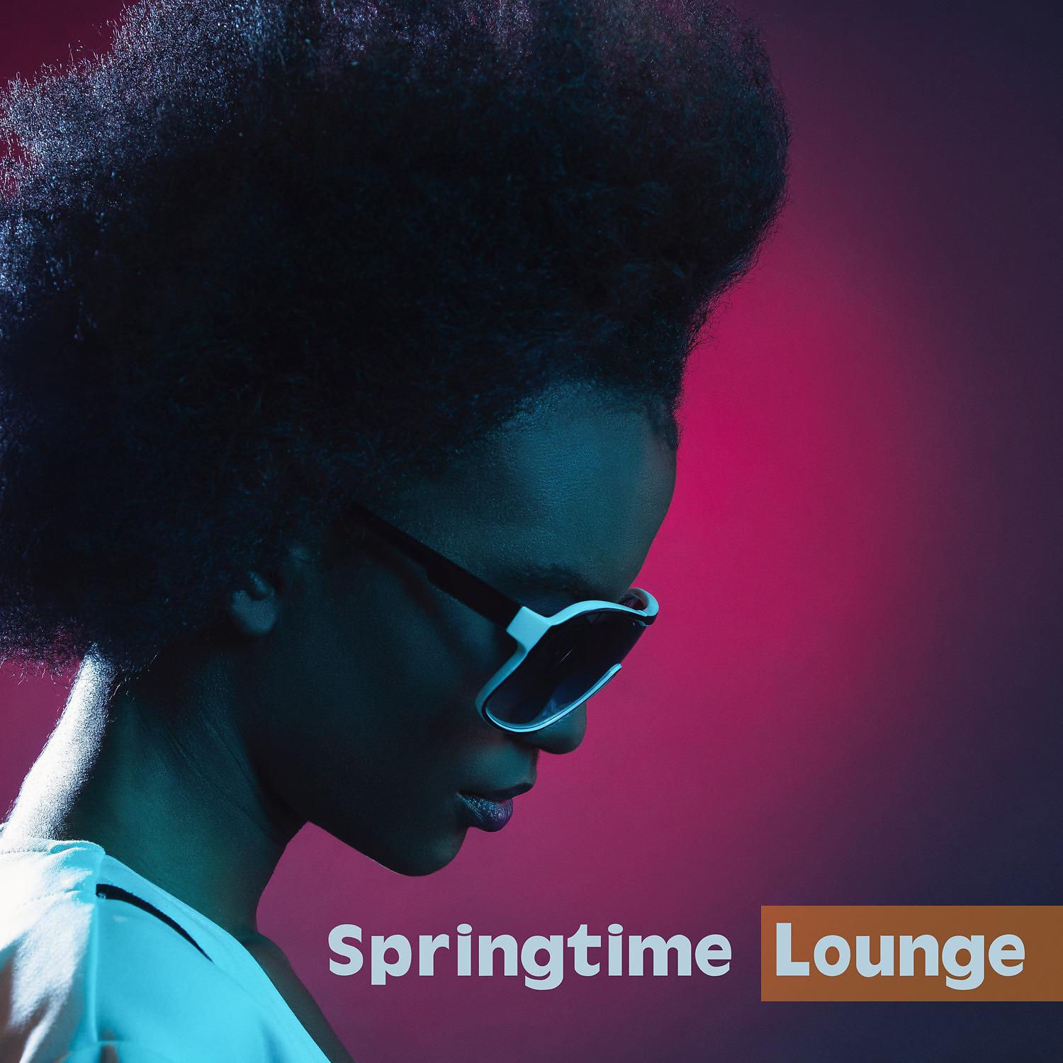 Постер альбома Springtime Lounge