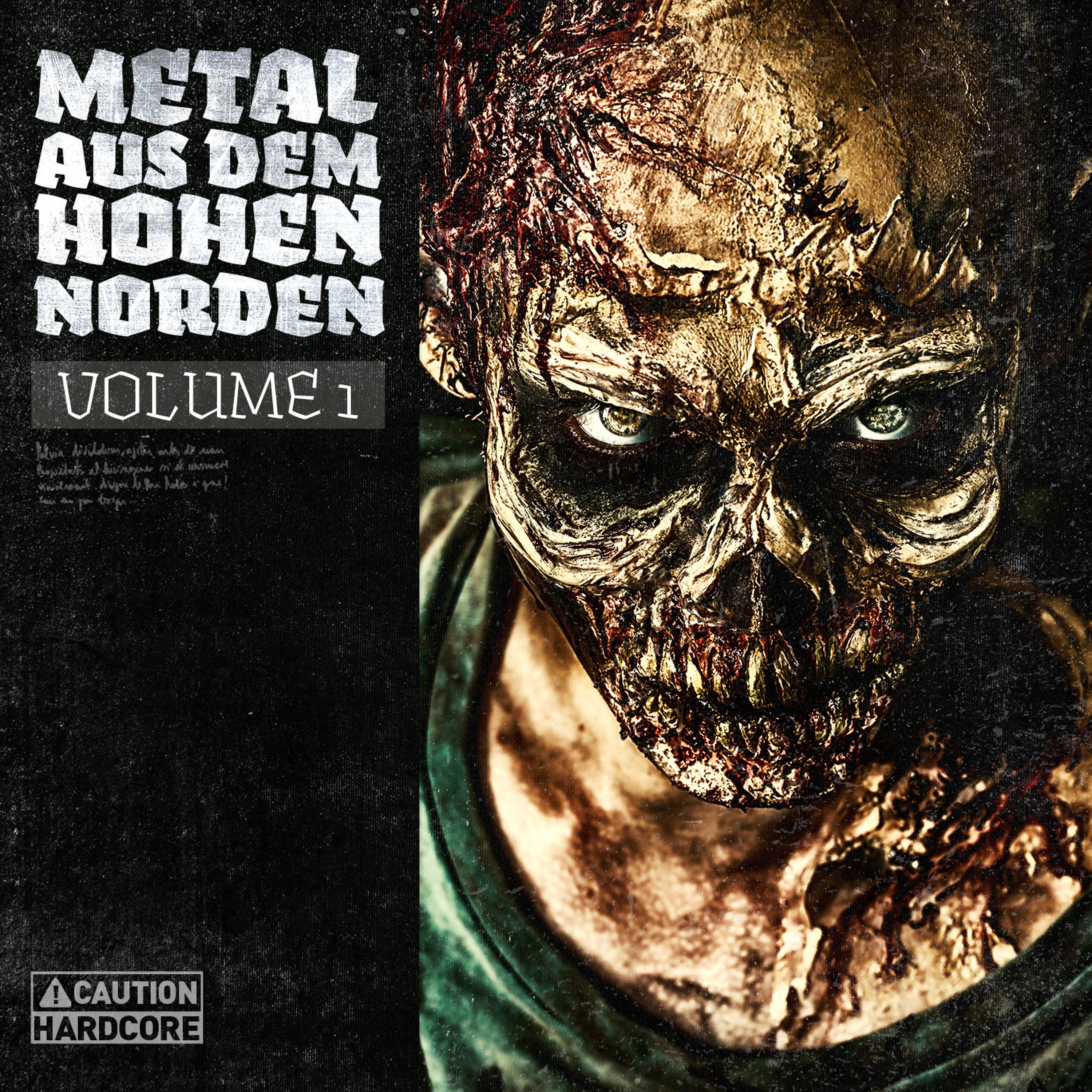 Постер альбома Metal Aus Dem Hohen Norden, Vol. 1