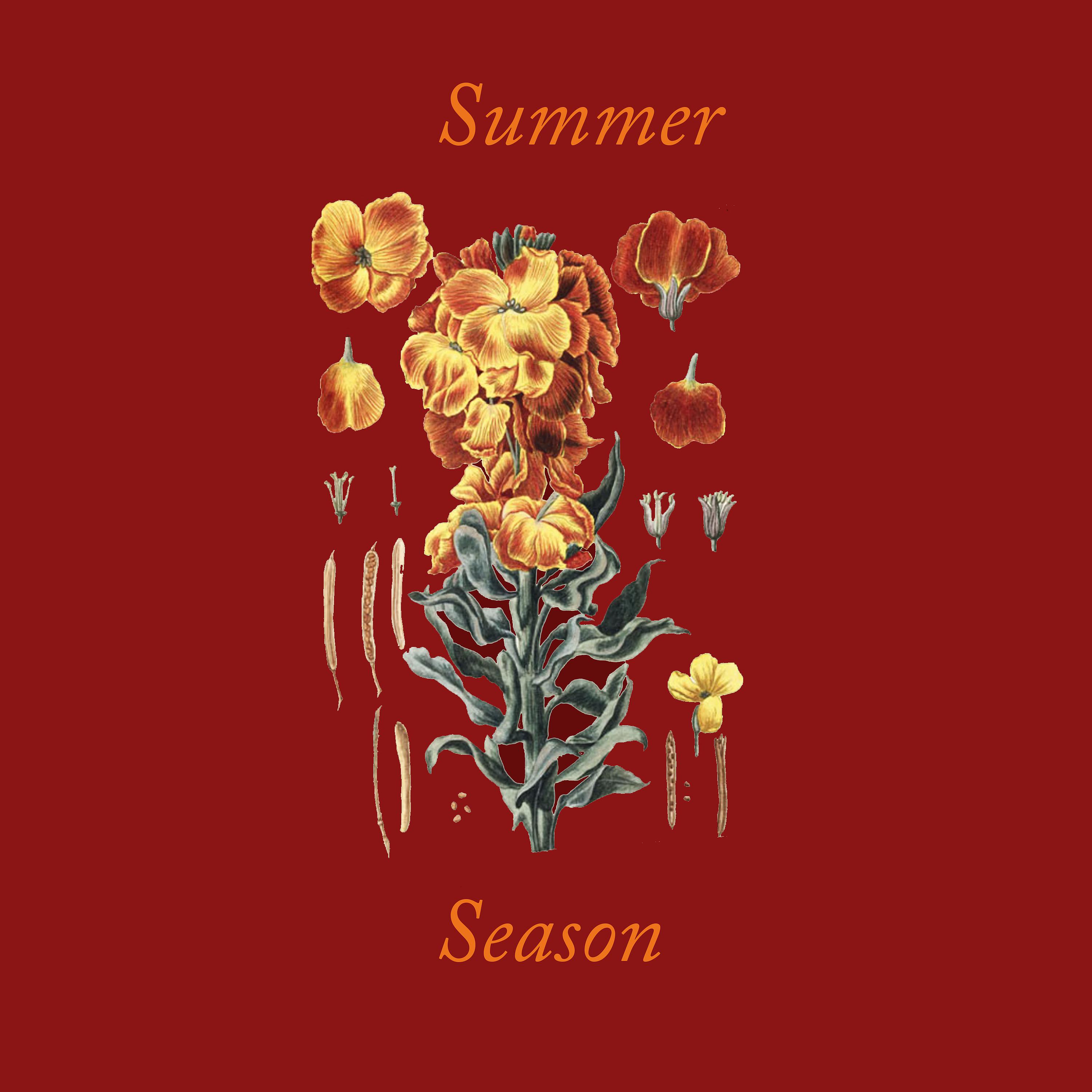 Постер альбома Summer Season