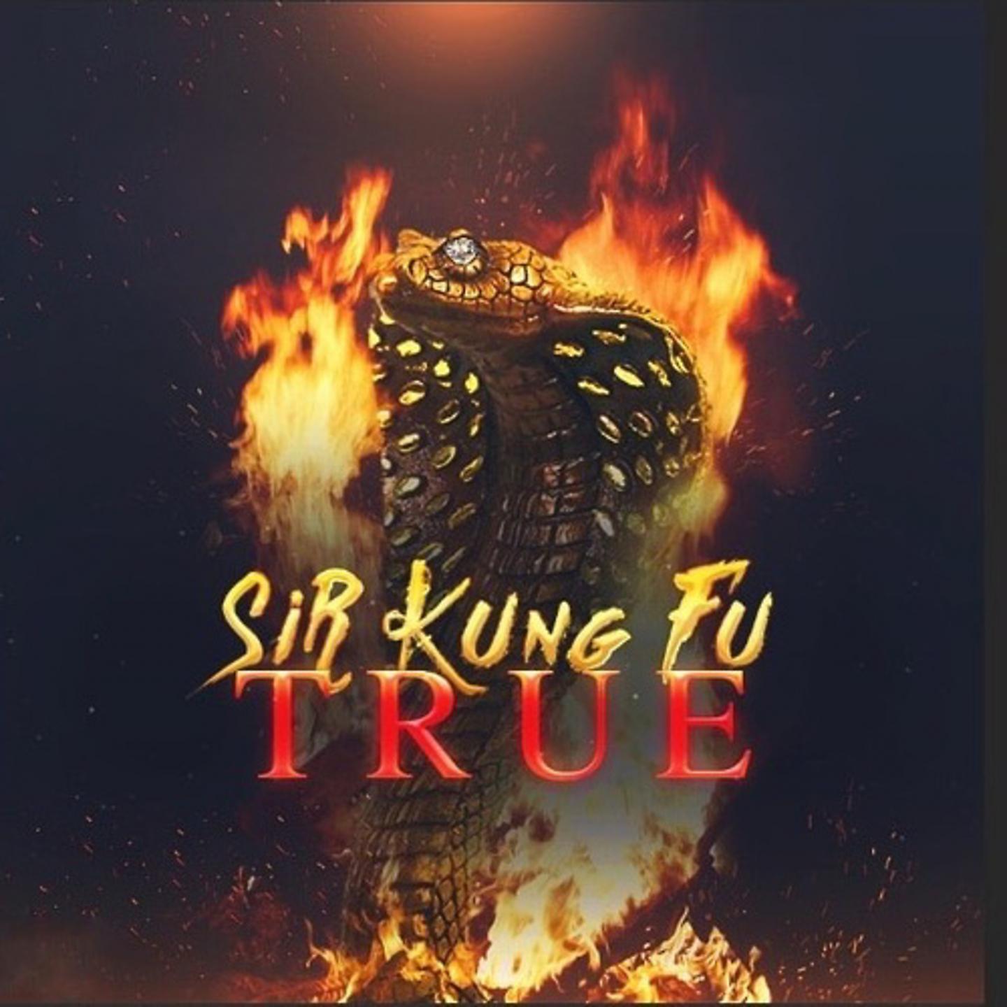 Sir Kung-Fu - Образование