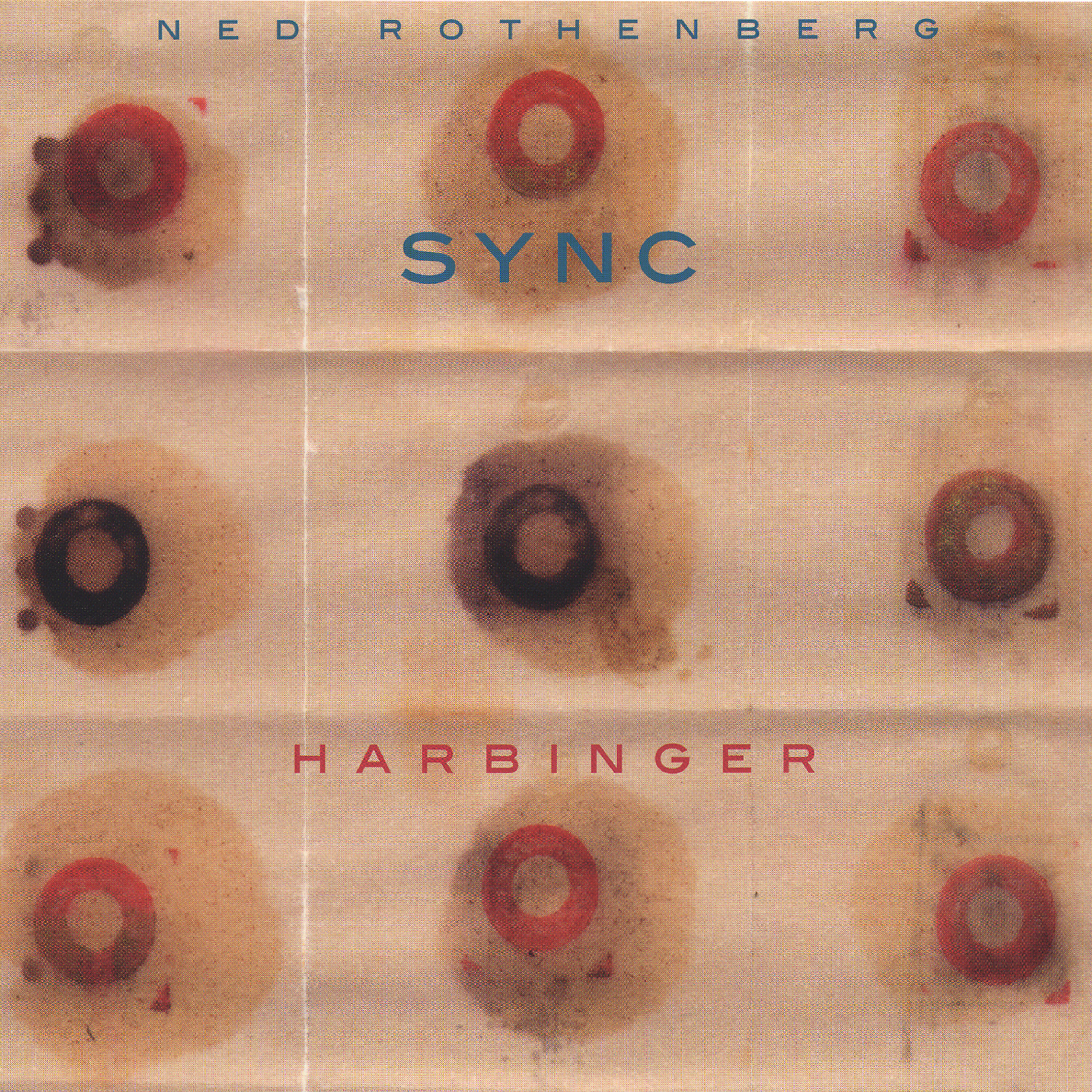 Ned Rothenberg - Kashmir