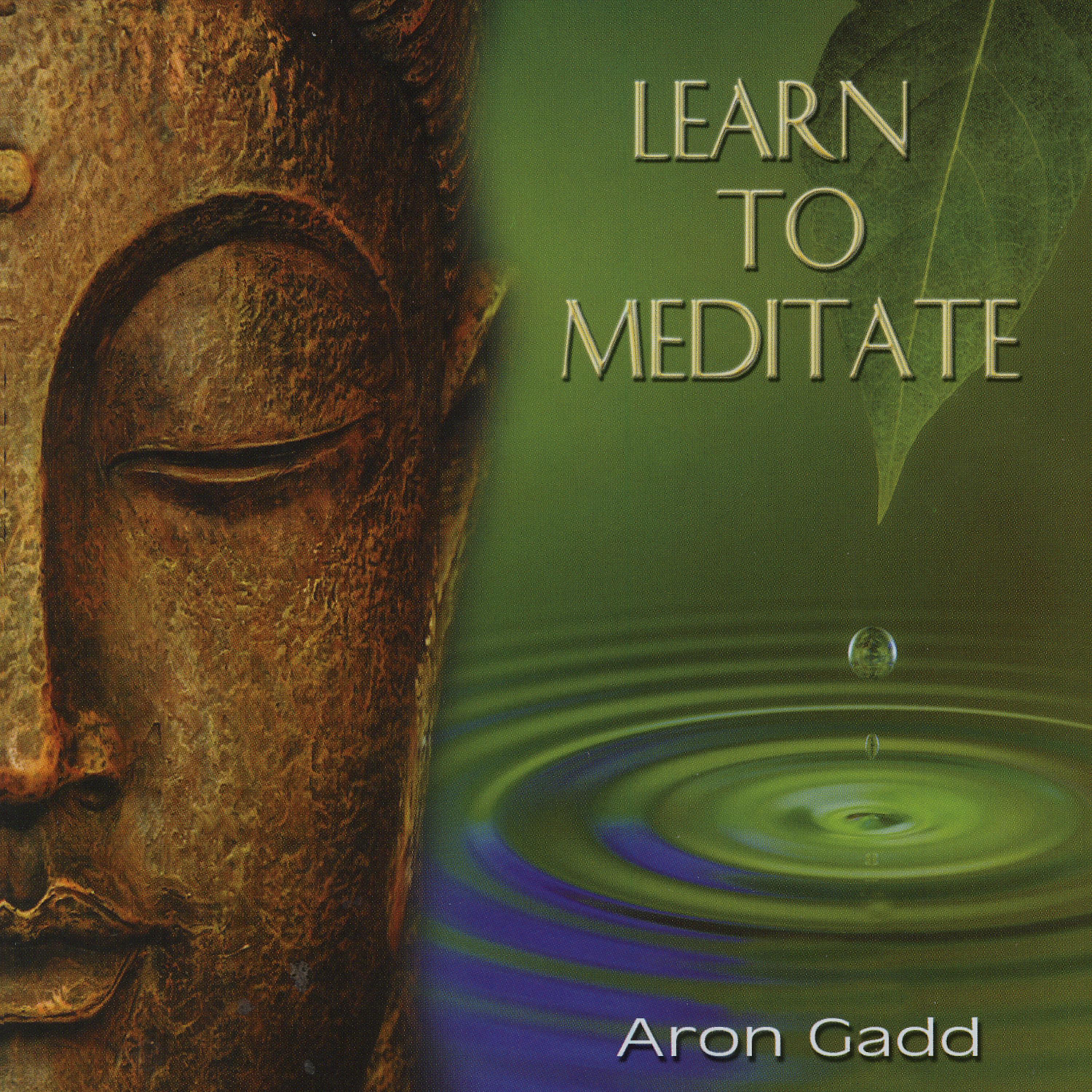 Постер альбома Learn To Meditate