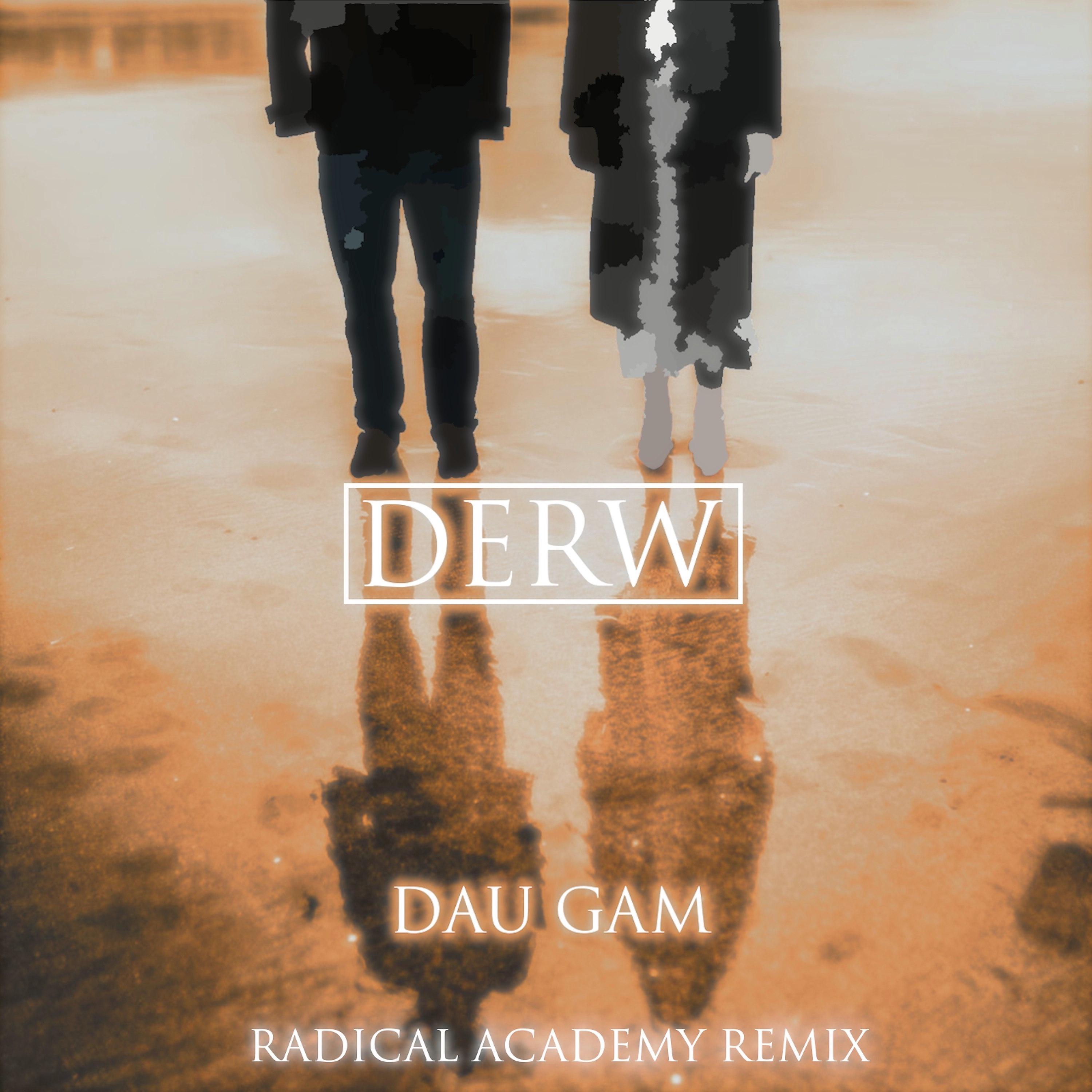 Постер альбома Dau Gam (Radical Academy Remix)