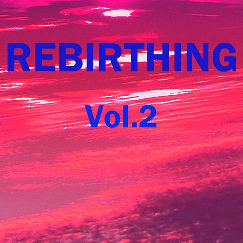 Постер альбома Rebirthing, Vol.2