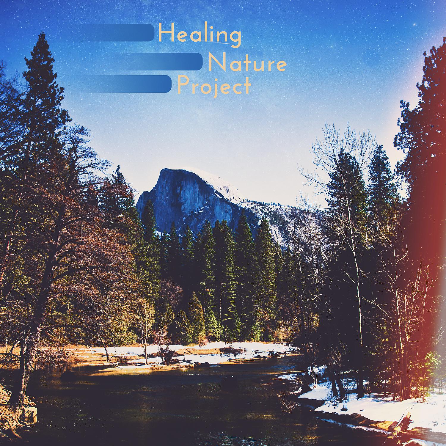 Постер альбома Healing Nature Project: Stress Relief, Positivity, Relaxation Act