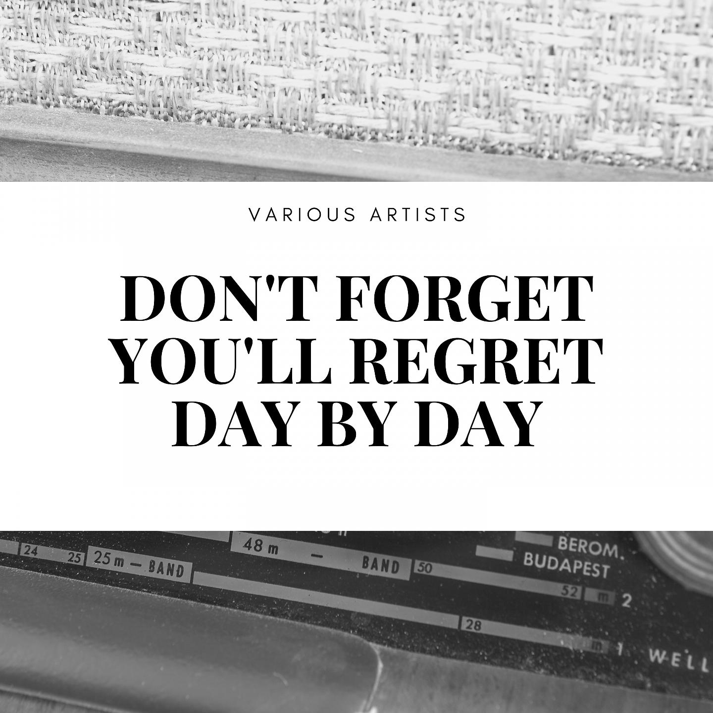 Постер альбома Don't Forget You'll Regret Day By Day