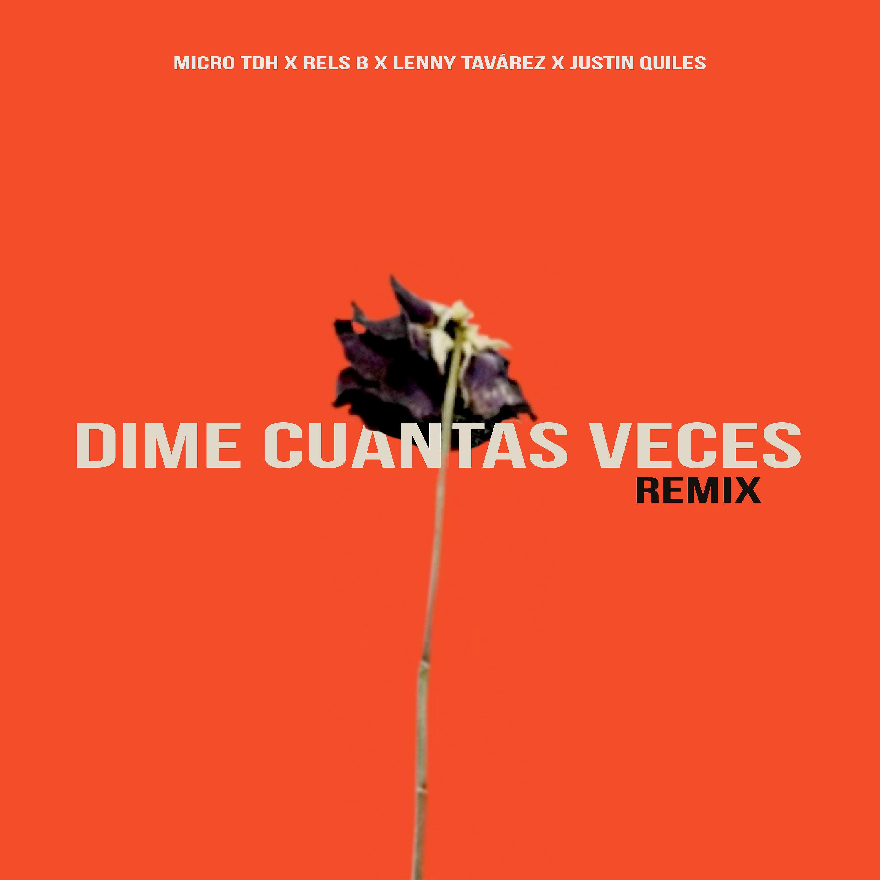 Постер альбома Dime Cuantas Veces (Remix) [feat. Justin Quiles]