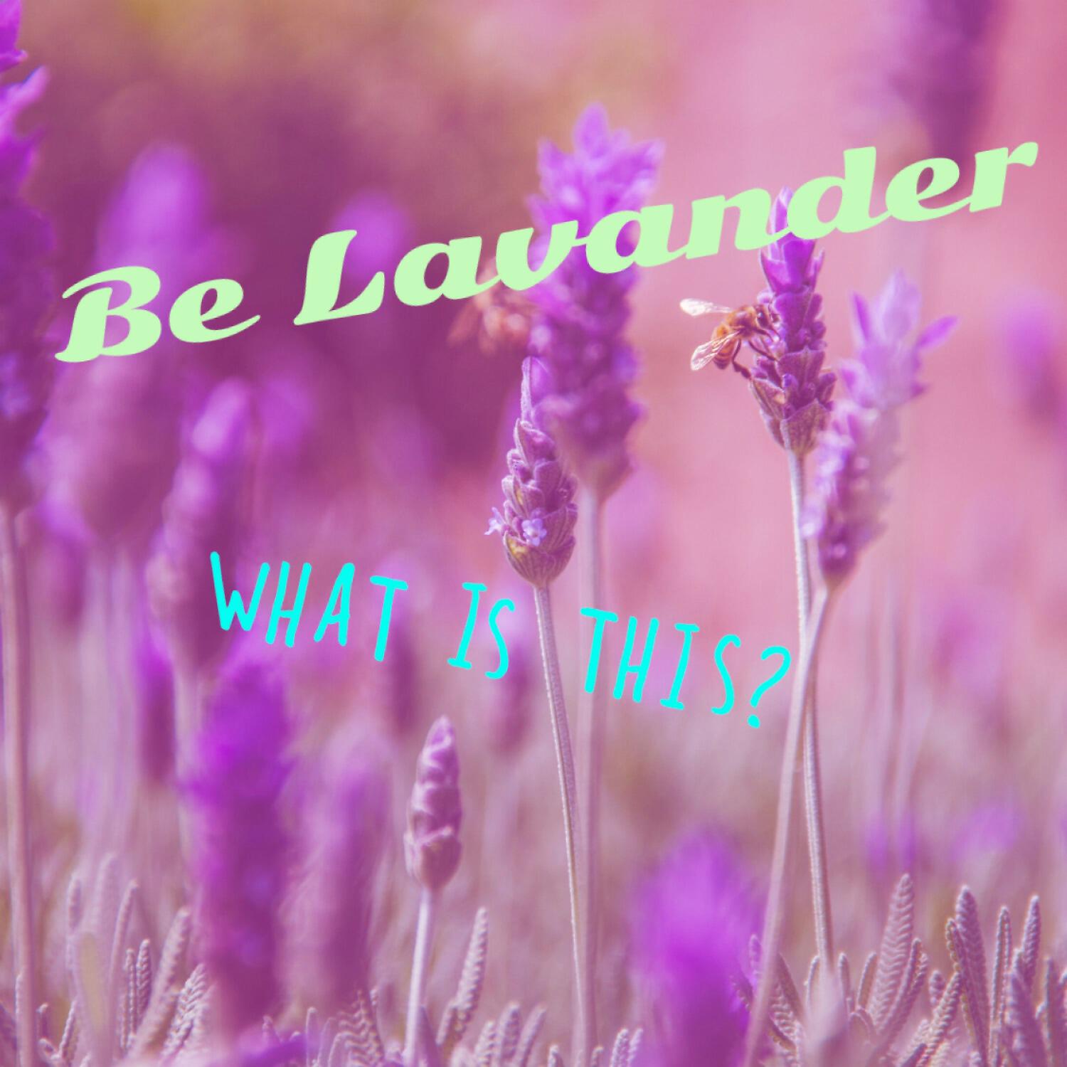 Be Lavander - Where's My Mind When I'm With You