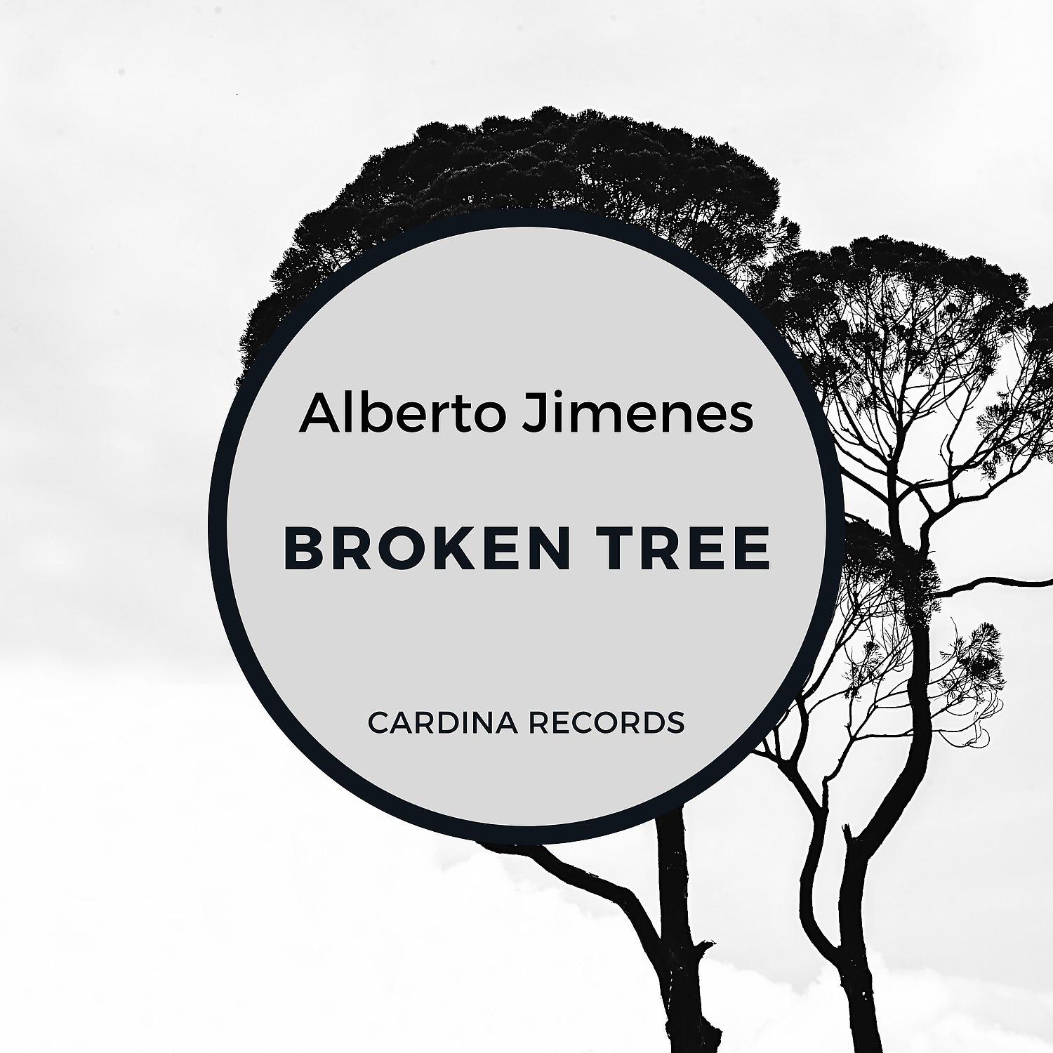 Постер альбома Broken Tree