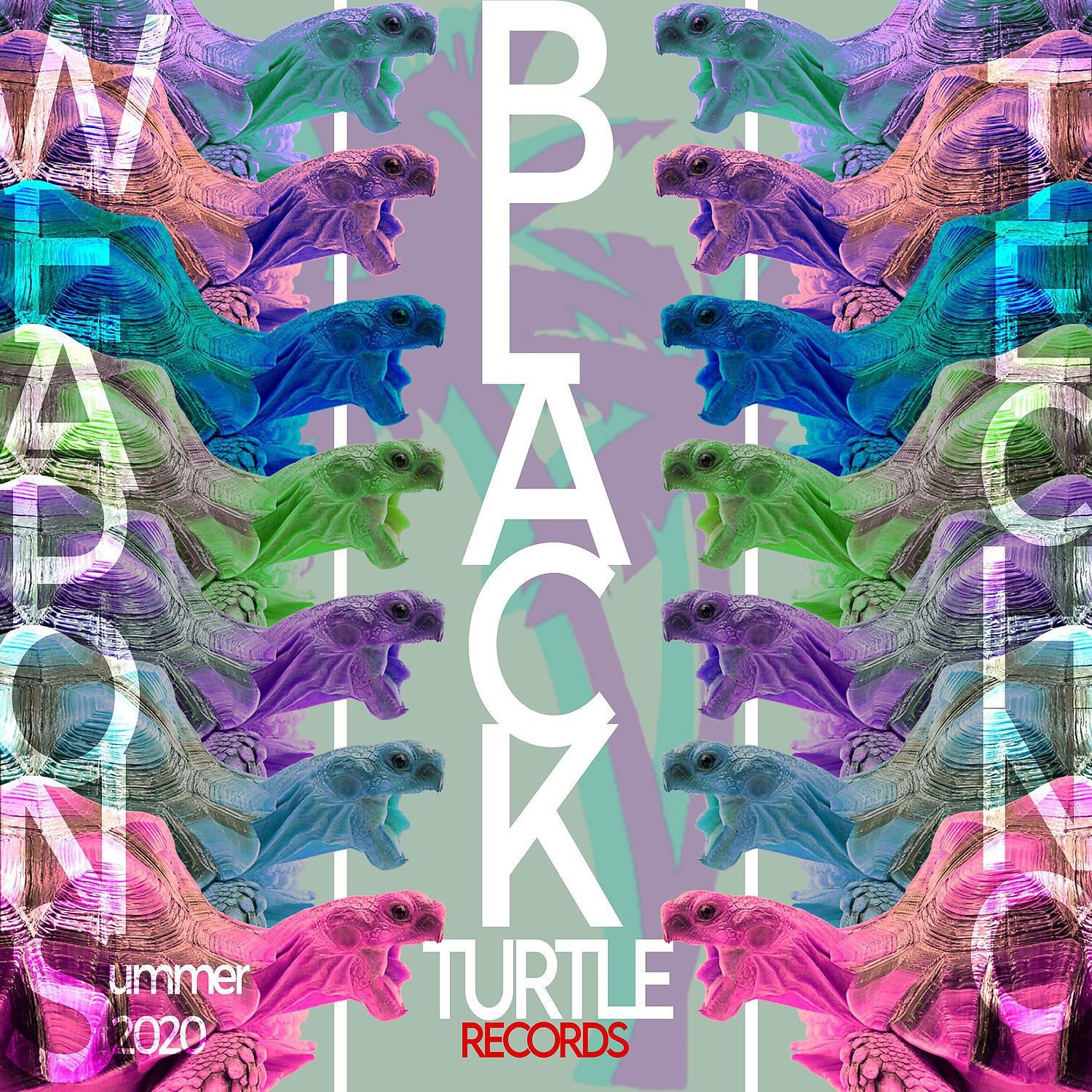 Постер альбома Black Turtle Weapons Techno Summer 2020