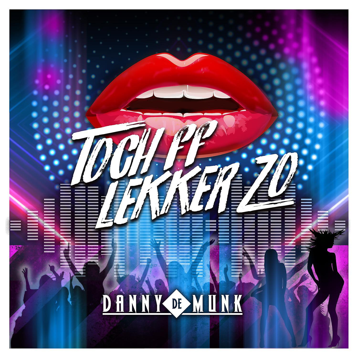 Постер альбома Toch ff Lekker Zo
