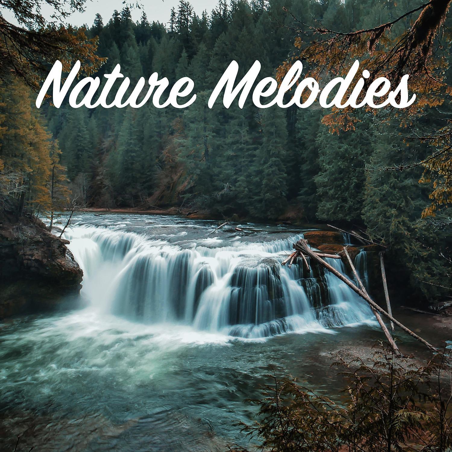 Постер альбома Nature Melodies