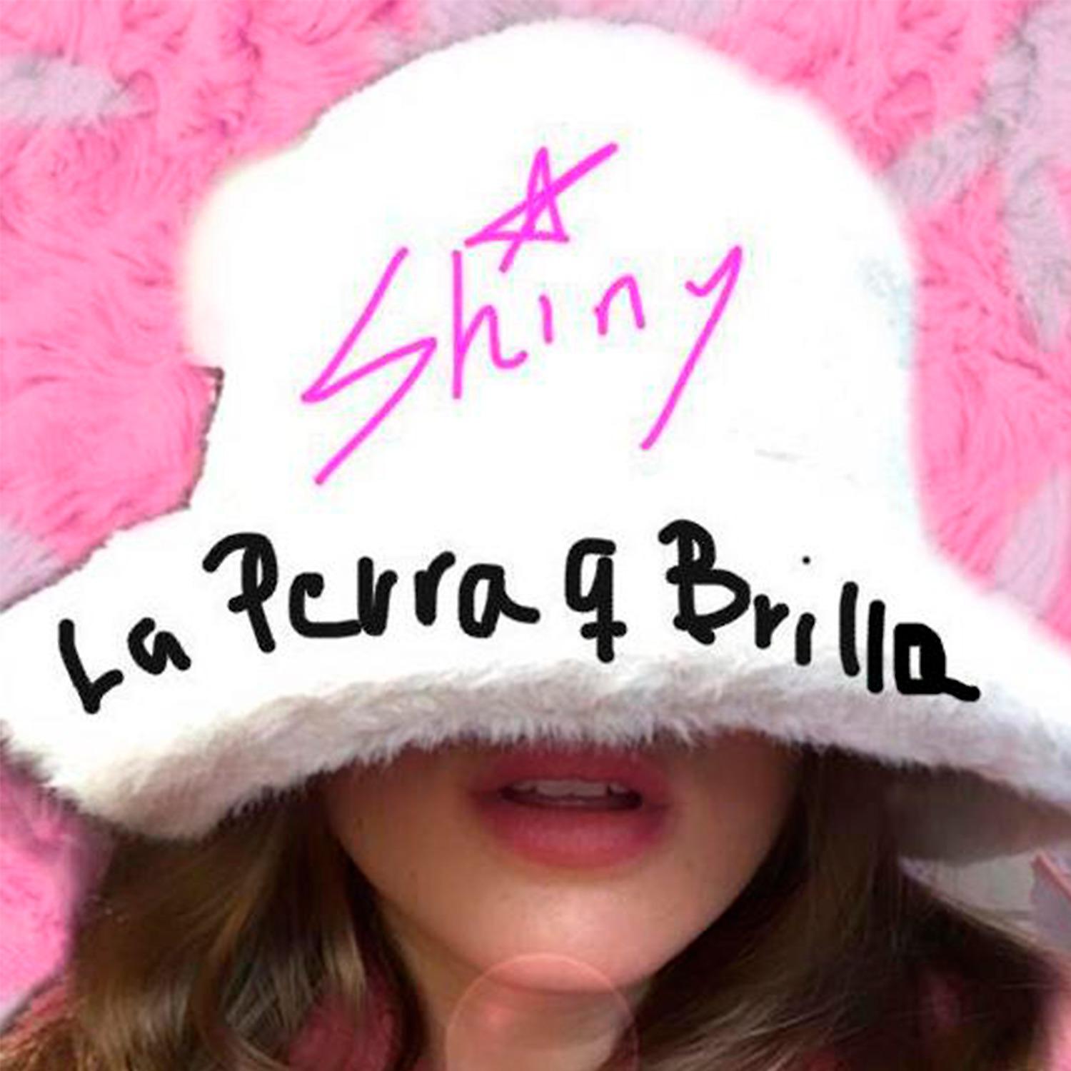Постер альбома La Perra Que Brilla