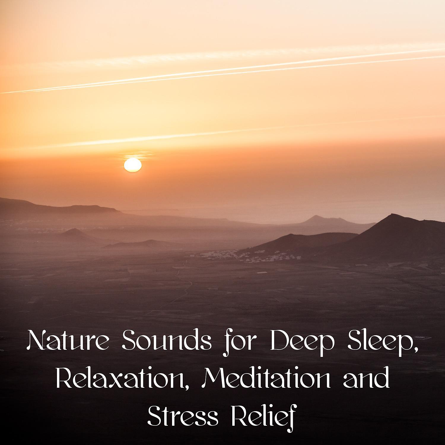 Постер альбома Nature Sounds for Deep Sleep, Relaxation, Meditation and Stress Relief
