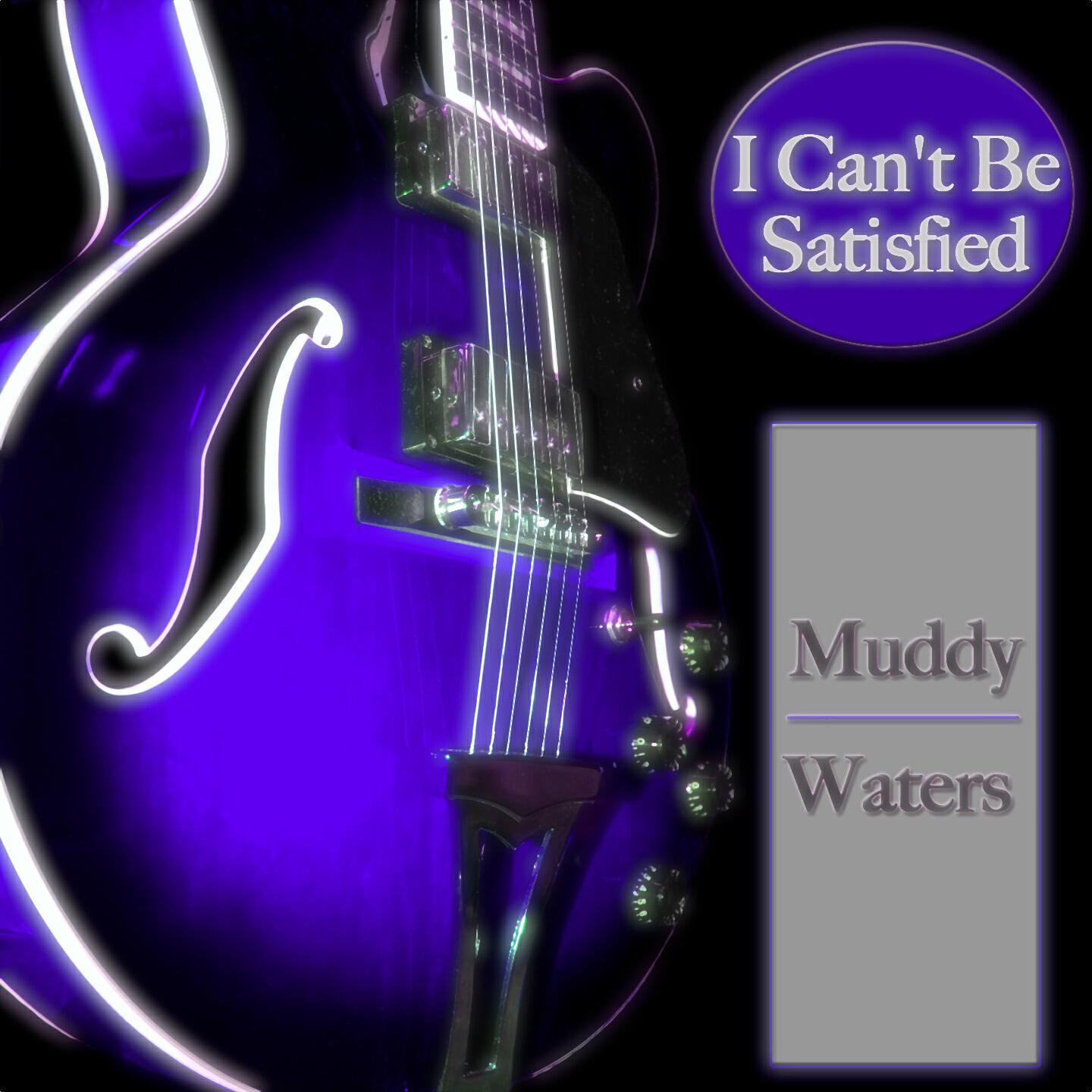 Muddy Waters - I Wanna Put a Tiger in Your Tank (Live)