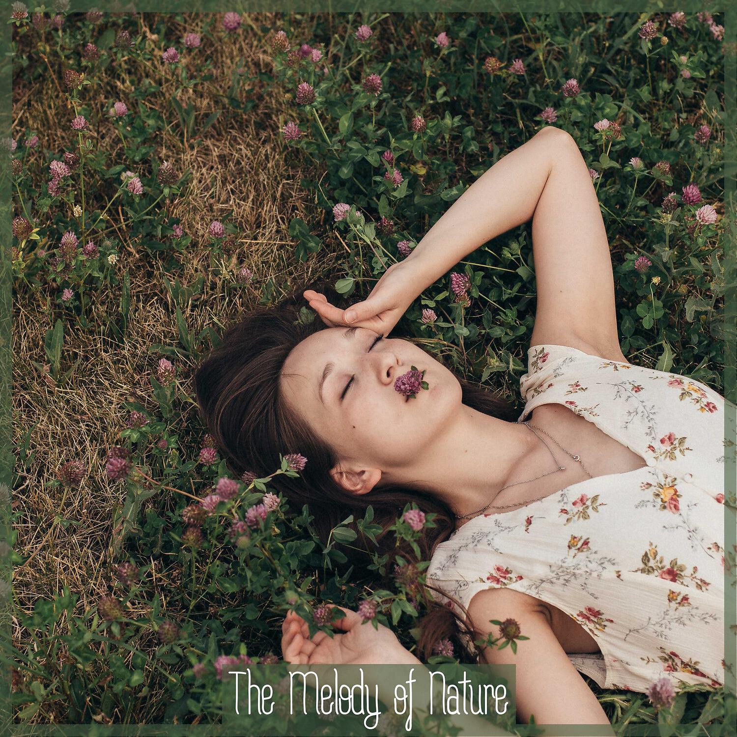 Best Relaxation Music - The Night Heals