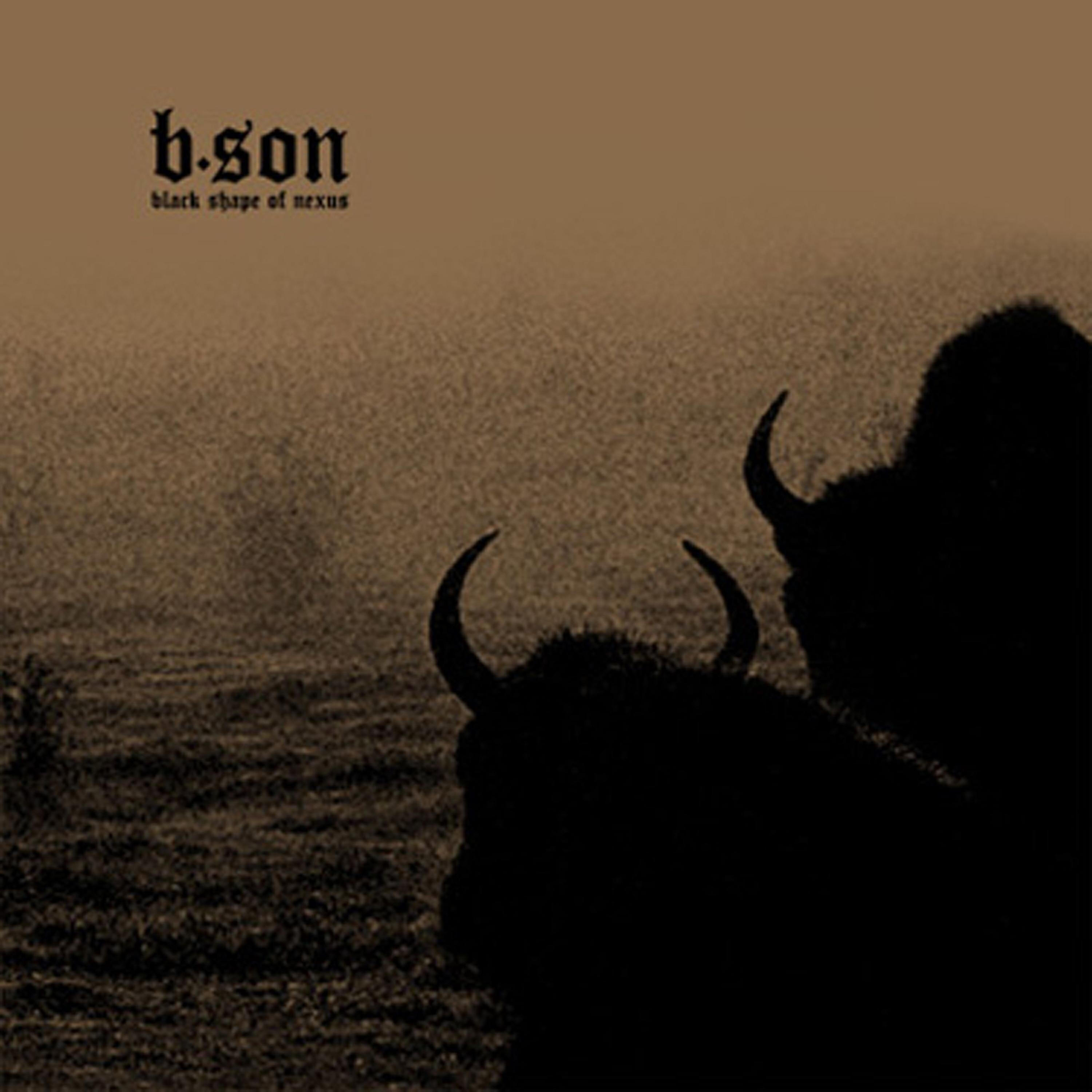 Black Shape Of Nexus - VI