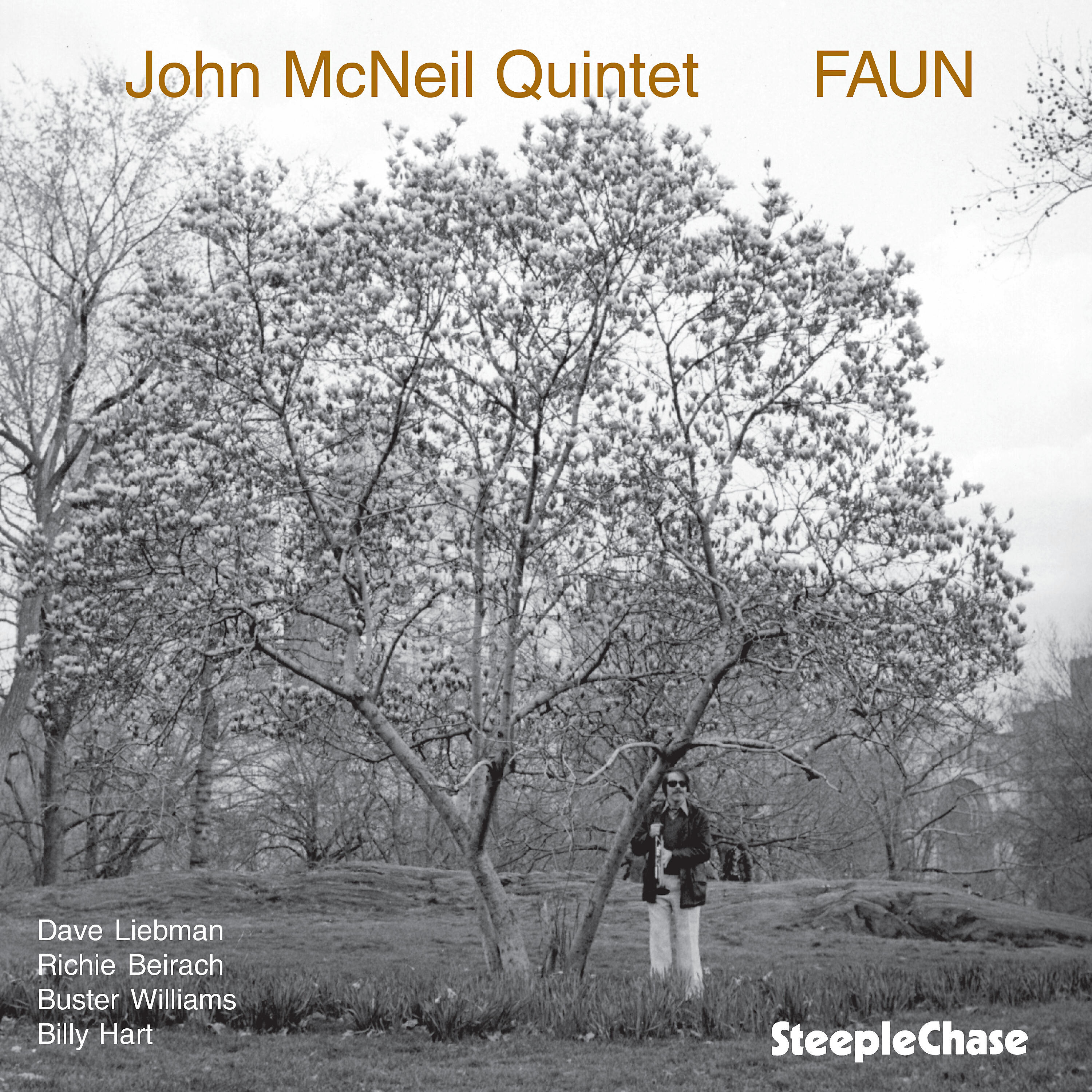 Dave Liebman - Faun
