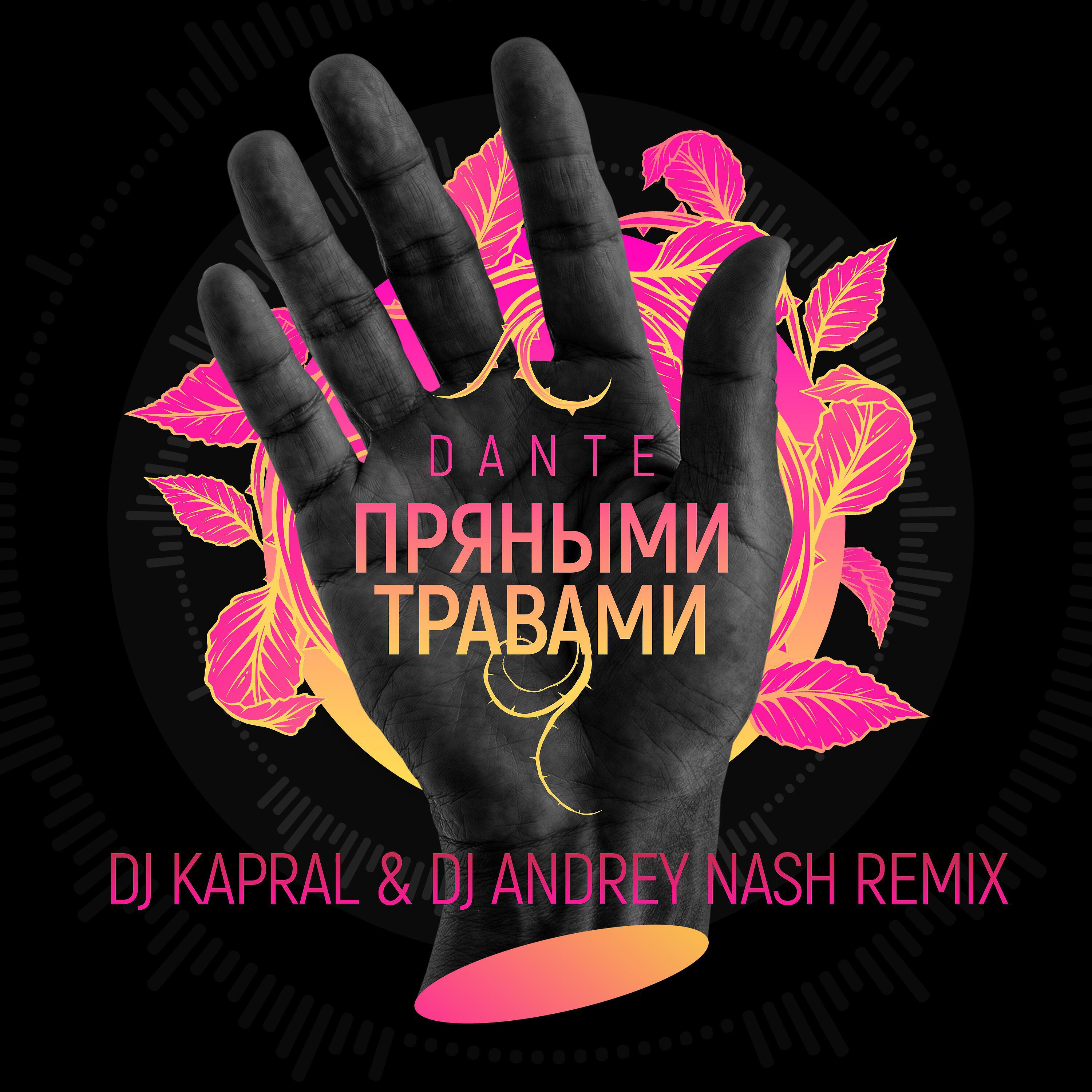 Постер альбома Пряными травами (DJ Kapral & DJ Andrey Nash Remix)