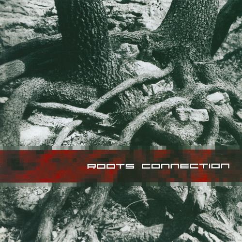 Постер альбома Roots Connection