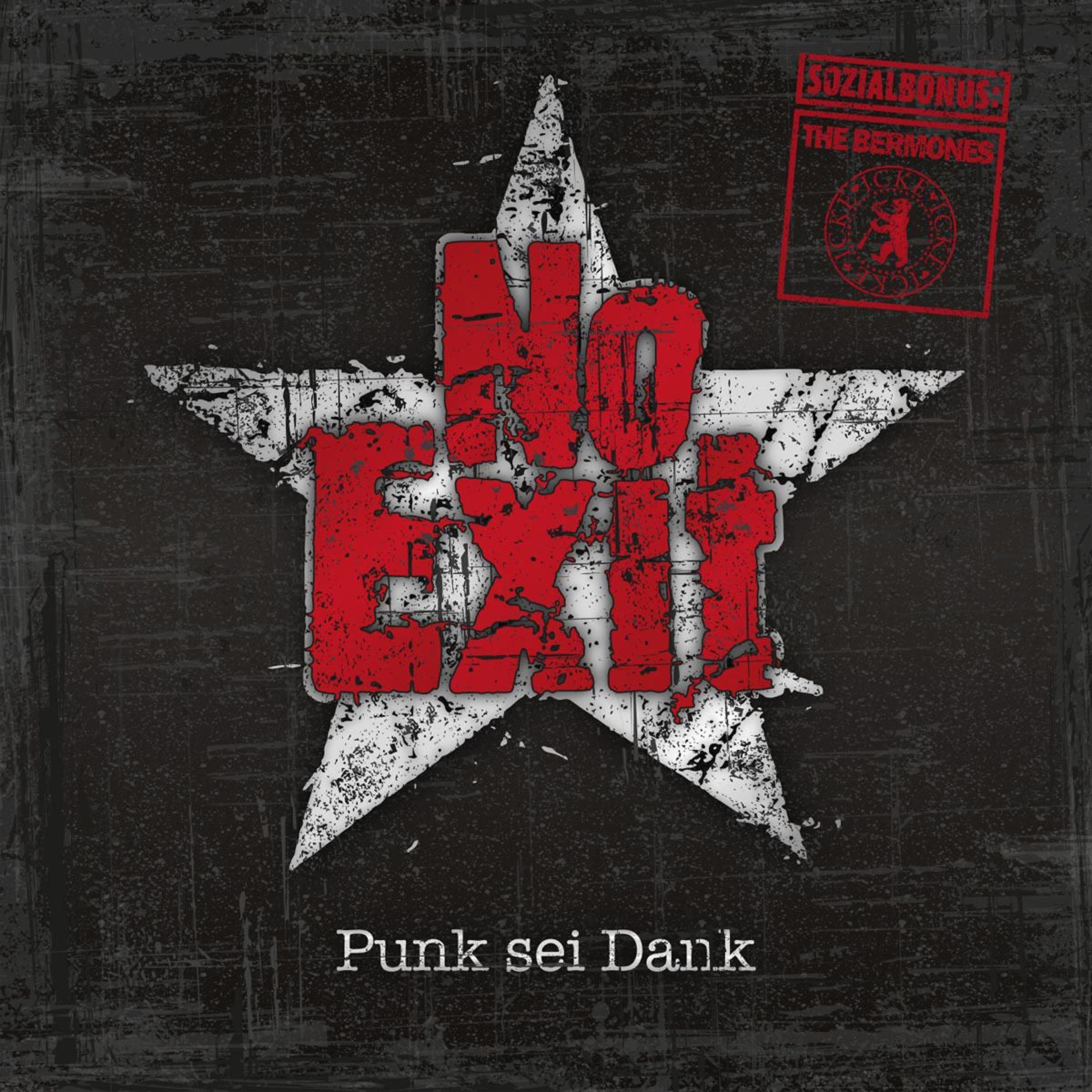 Постер альбома Punk sei Dank
