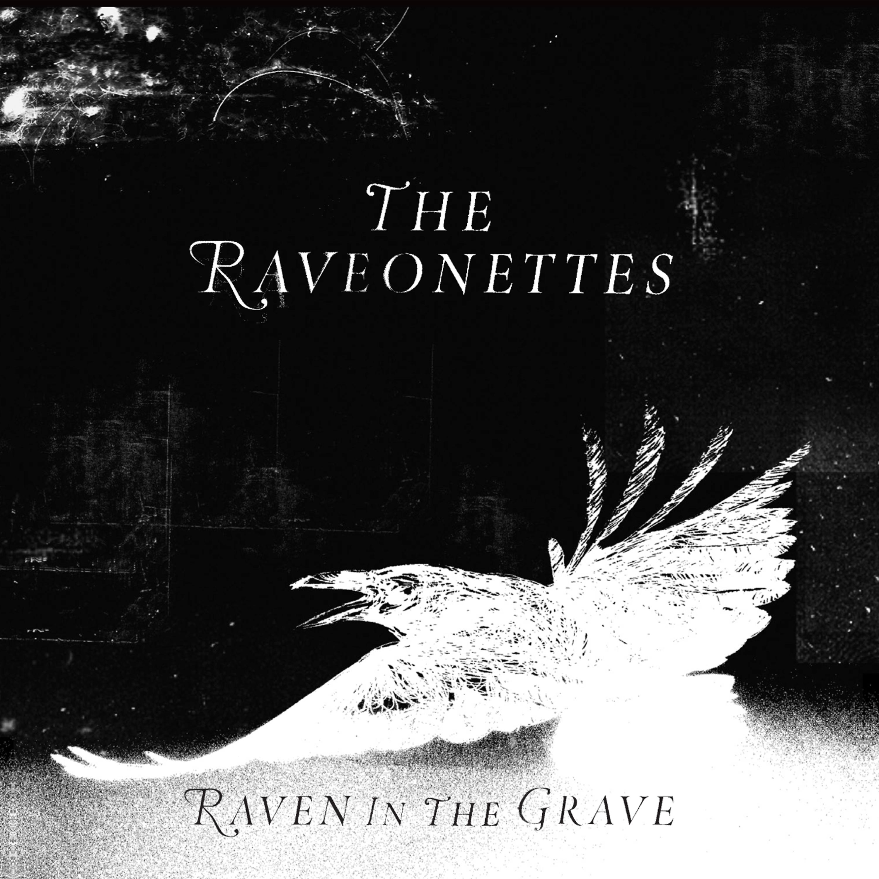 Постер альбома Raven in the Grave
