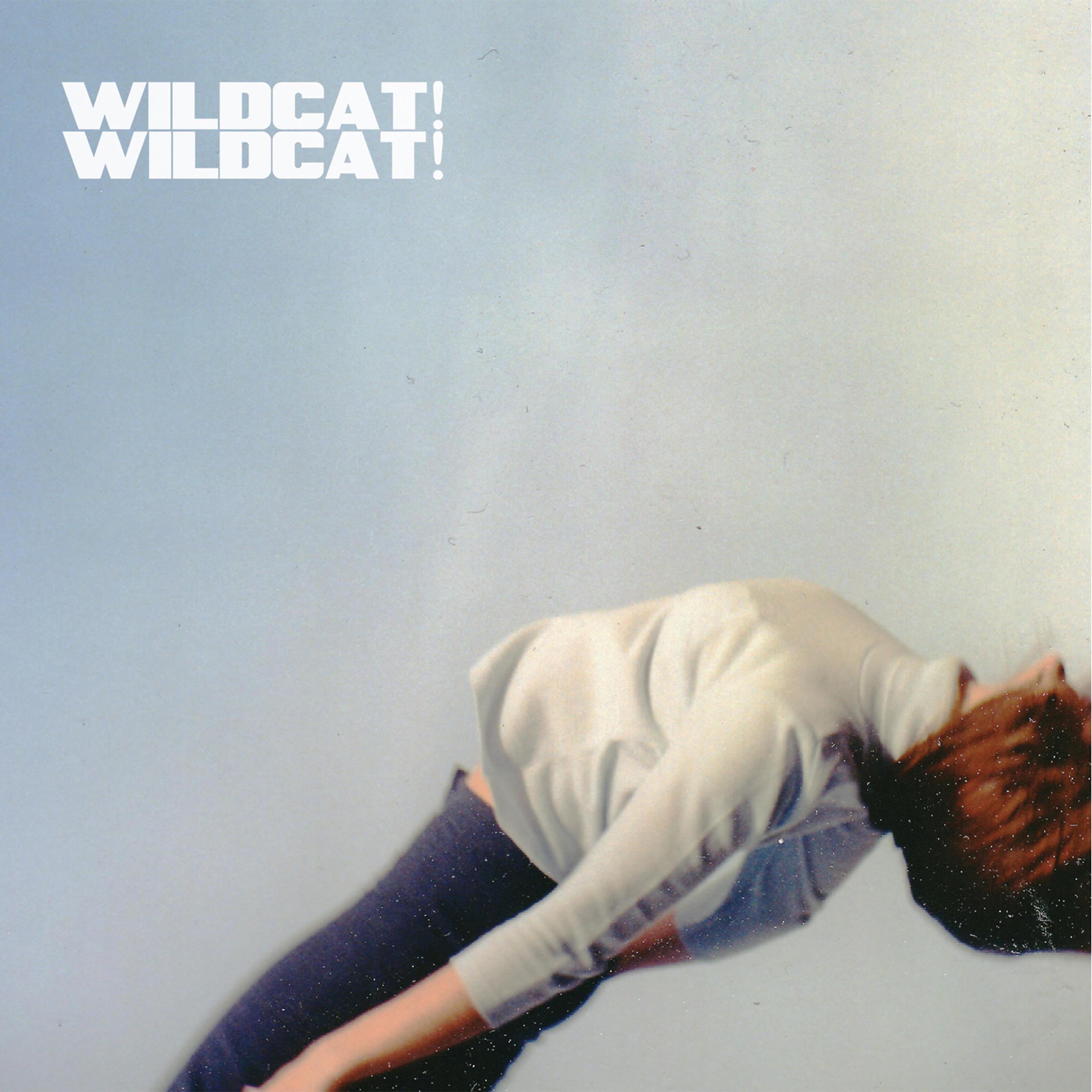 Постер альбома Wildcat! Wildcat!