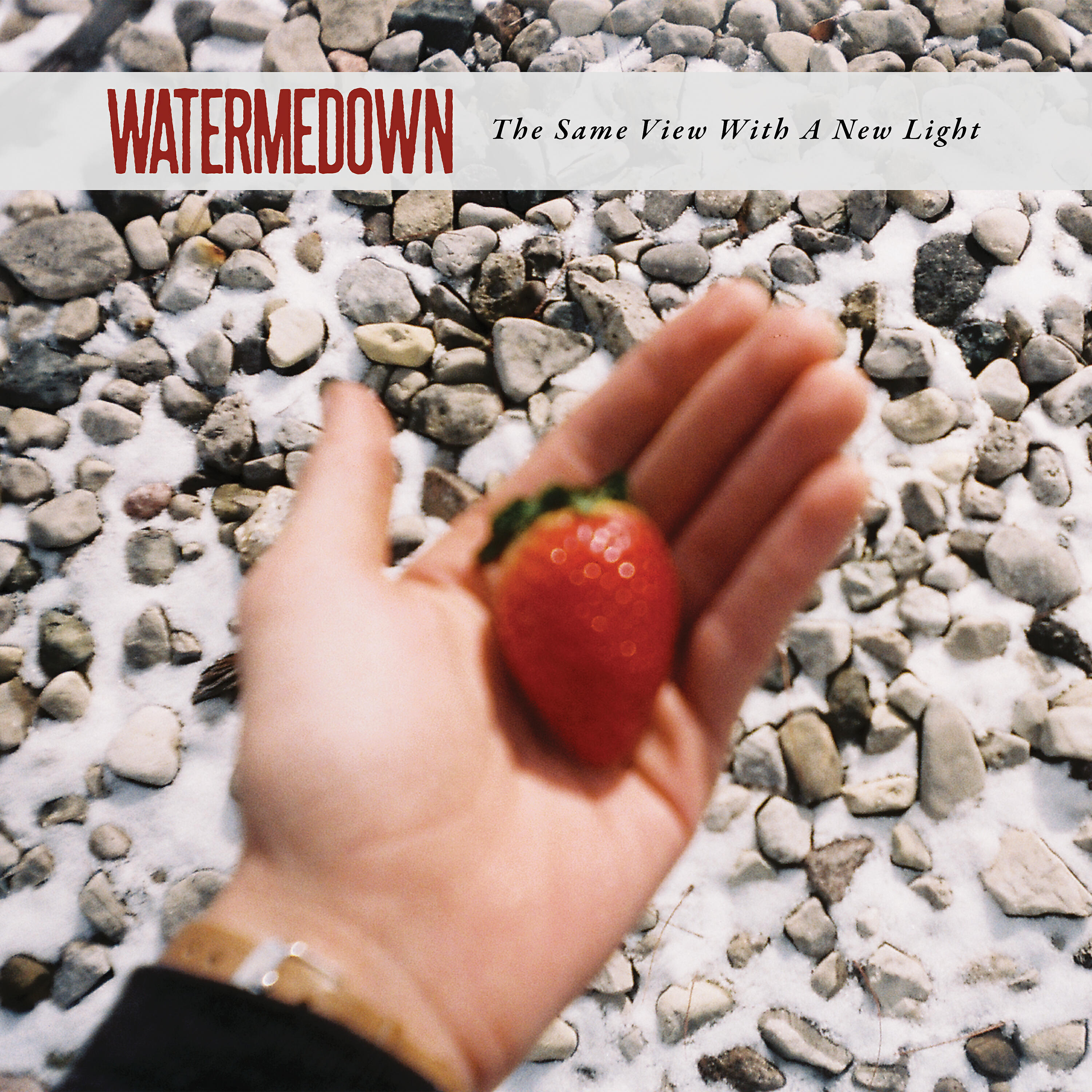 WATERMEDOWN - For Everyone's Sake