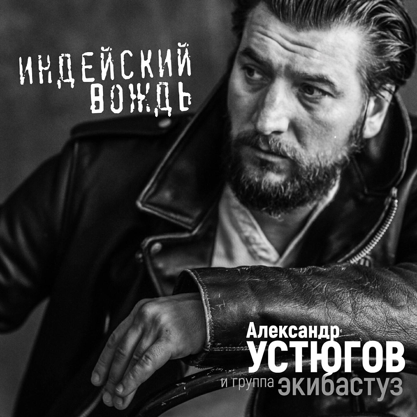 Александр Устюгов - Индейский вождь