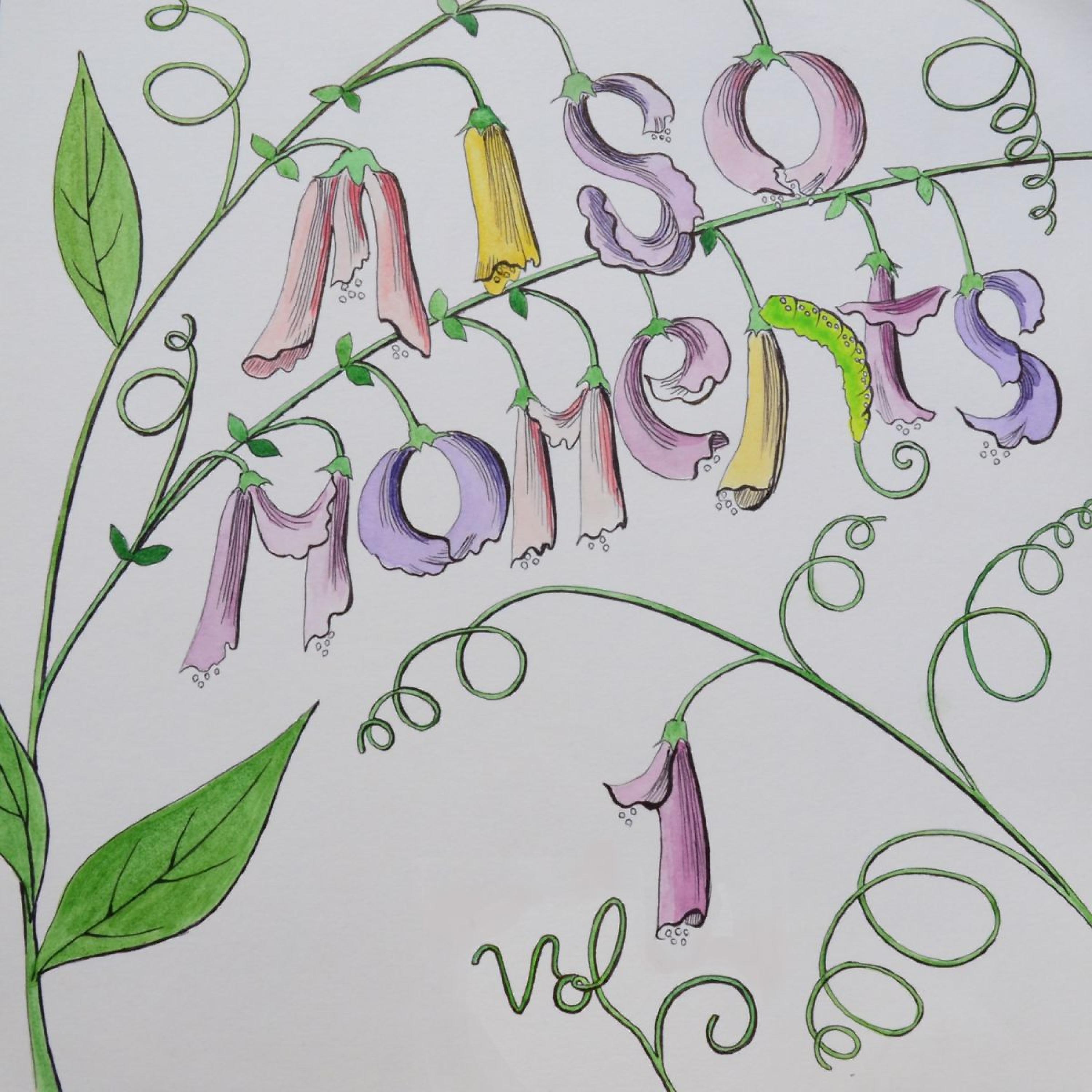 Постер альбома Miso Moments, Vol. 1