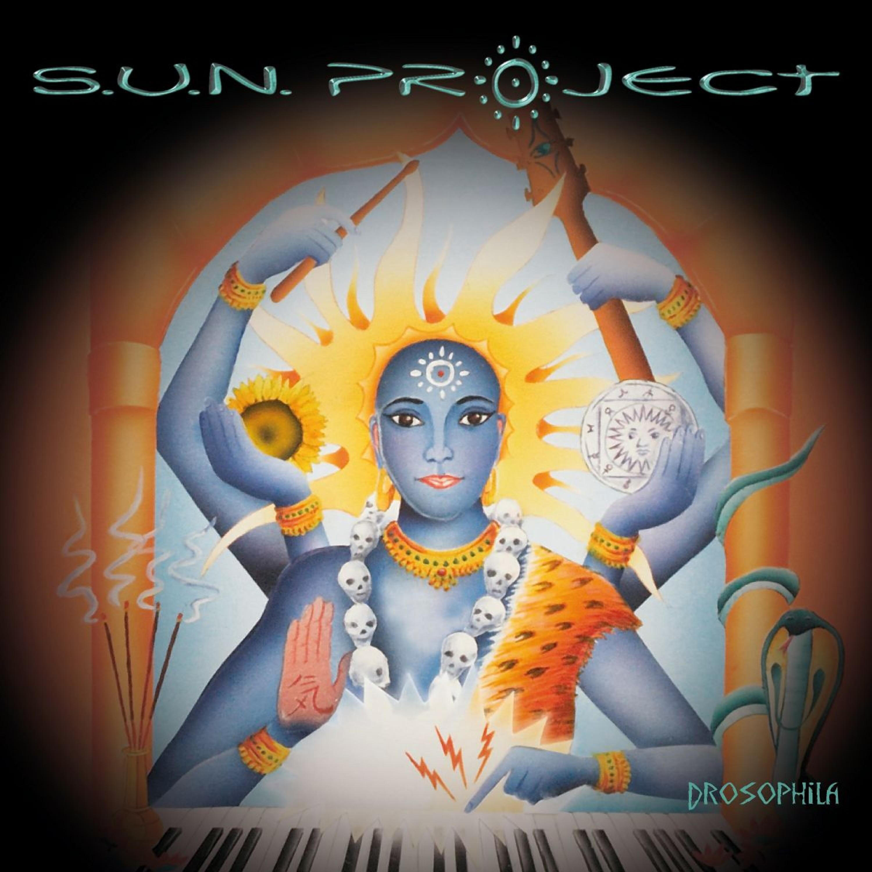 SUN PROJECT - Drosophila