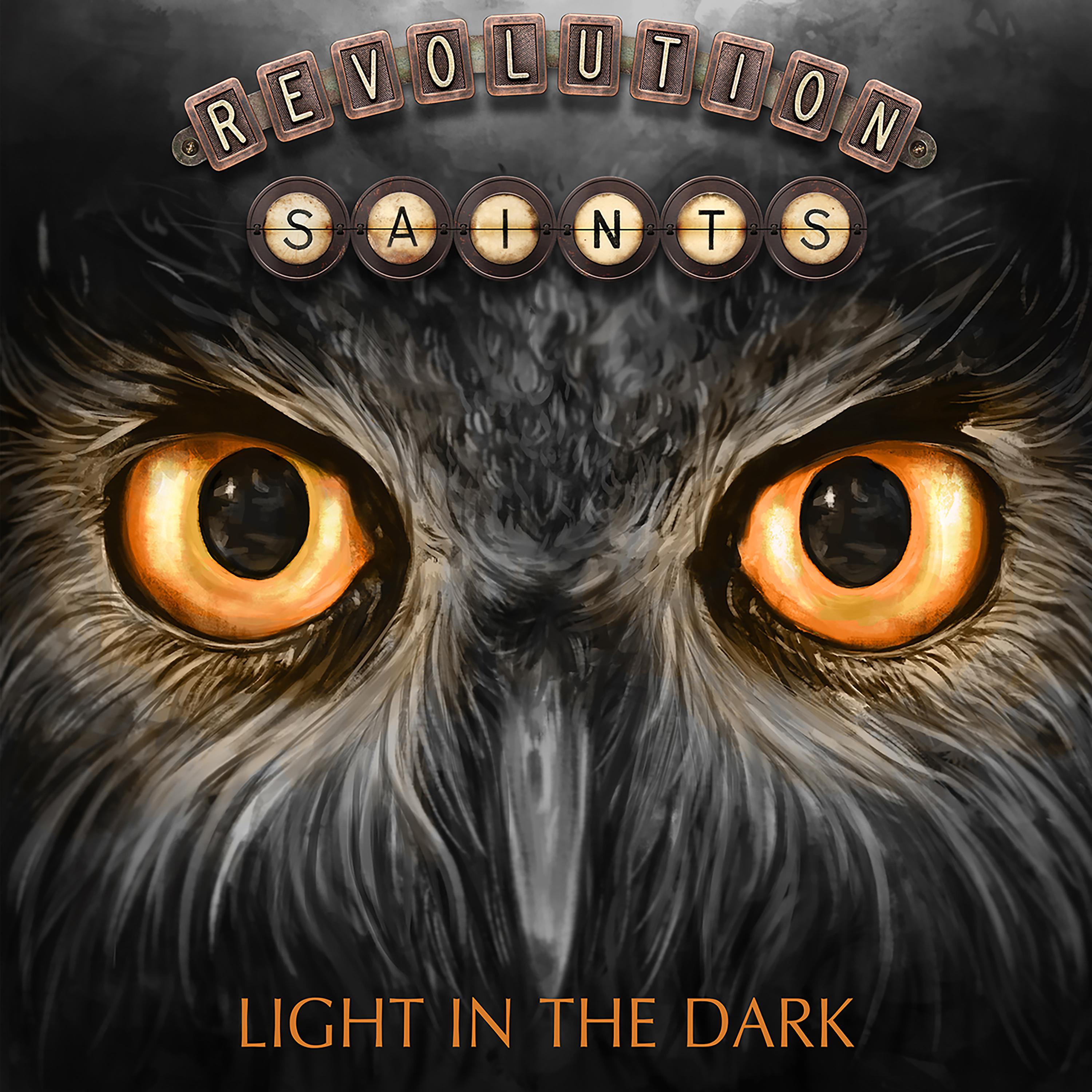Постер альбома Light in the Dark (Deluxe Version)