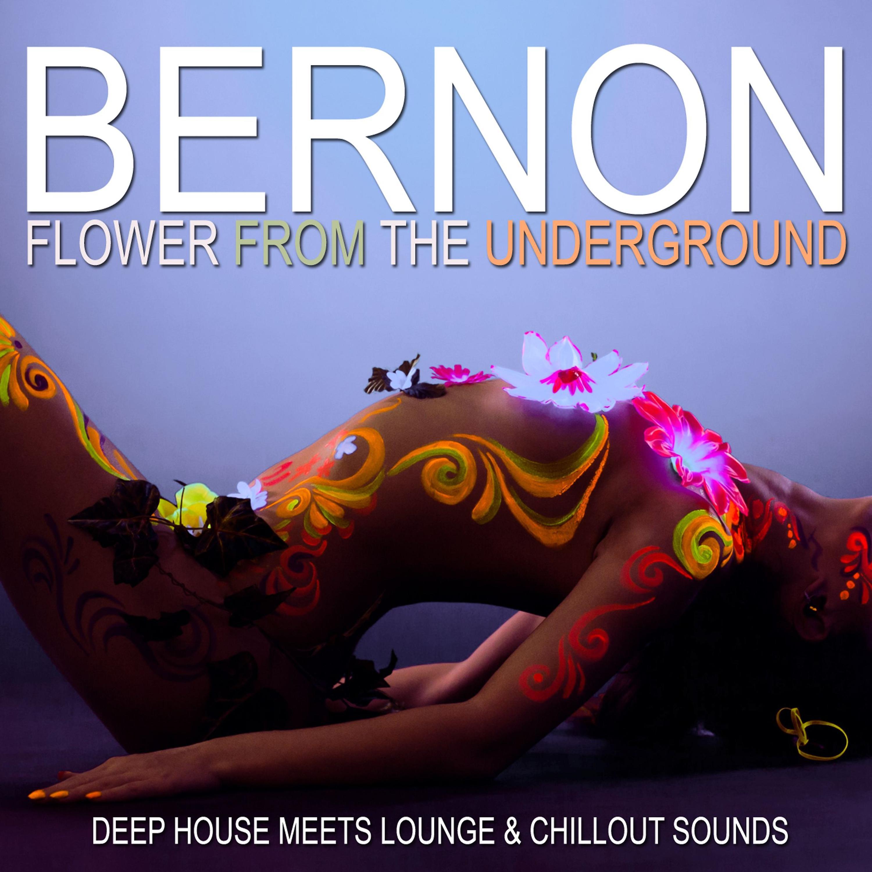 Постер альбома Flower from the Underground (Deep House Meets Lounge & Chillout Sounds)
