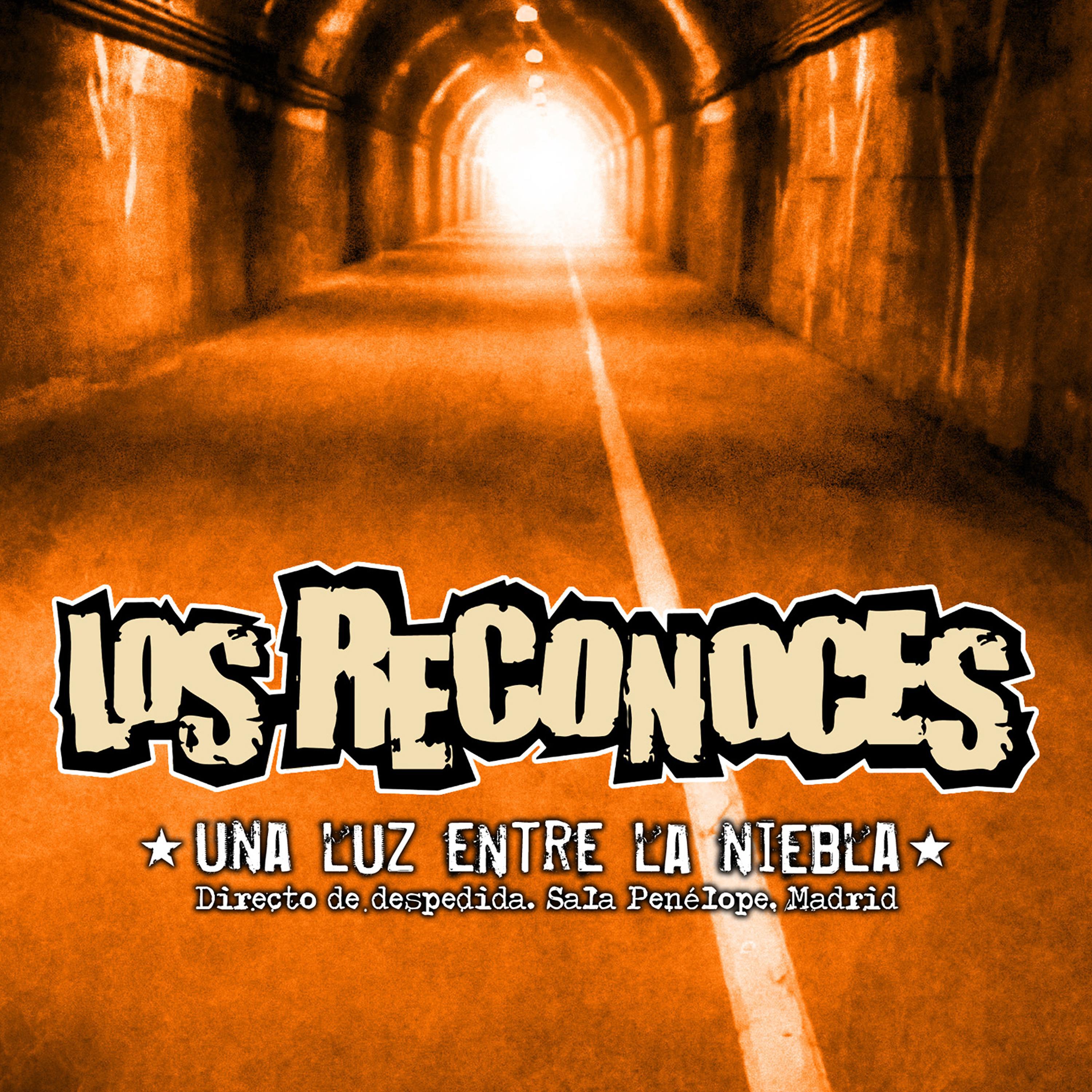 Постер альбома Una Luz Entre La Niebla (Directo)